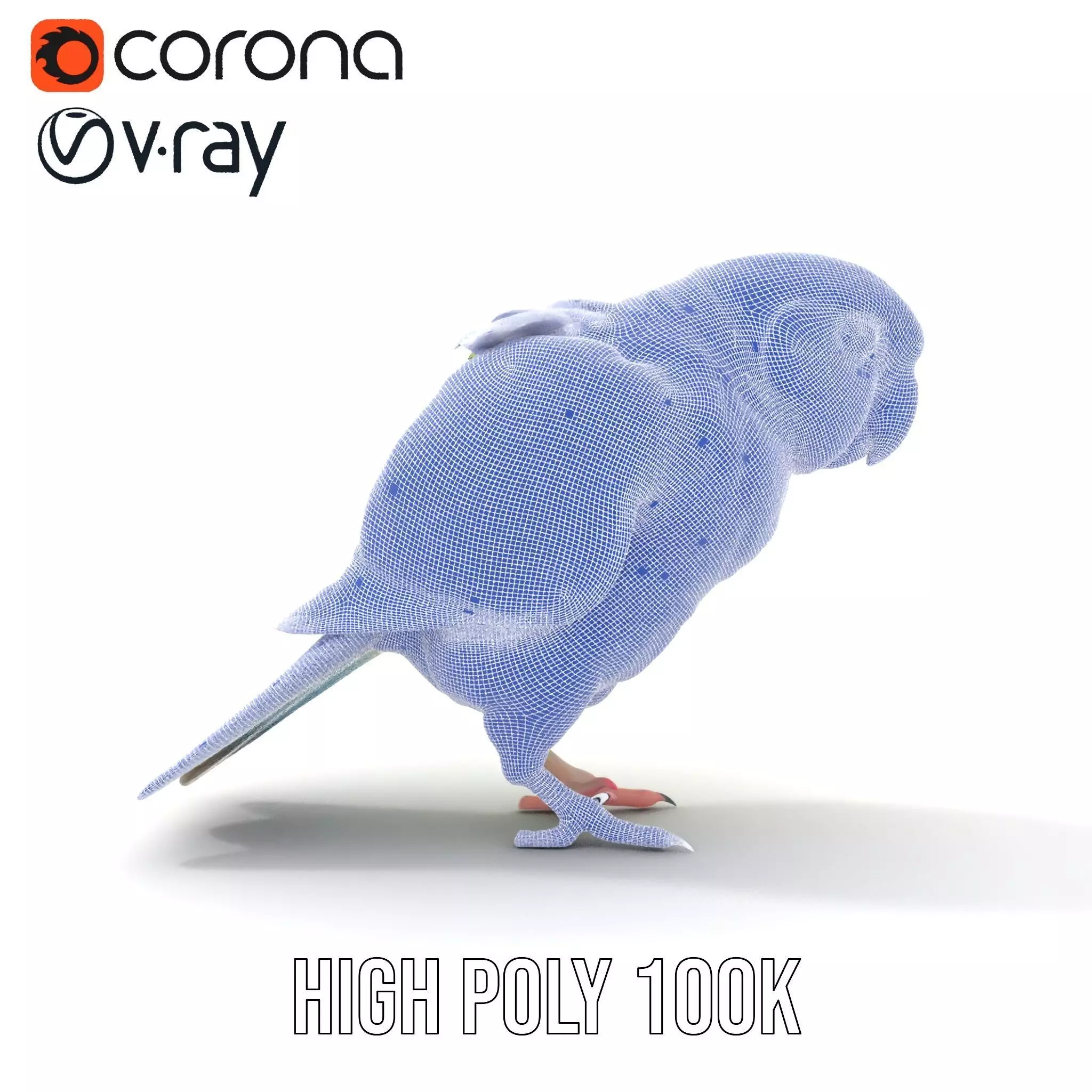 Colorful Parrot model pack Low-poly 3D model_29