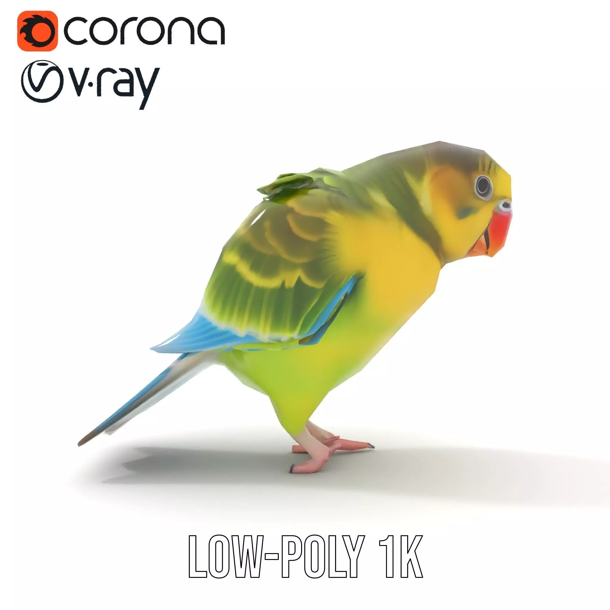 Colorful Parrot model pack Low-poly 3D model_20
