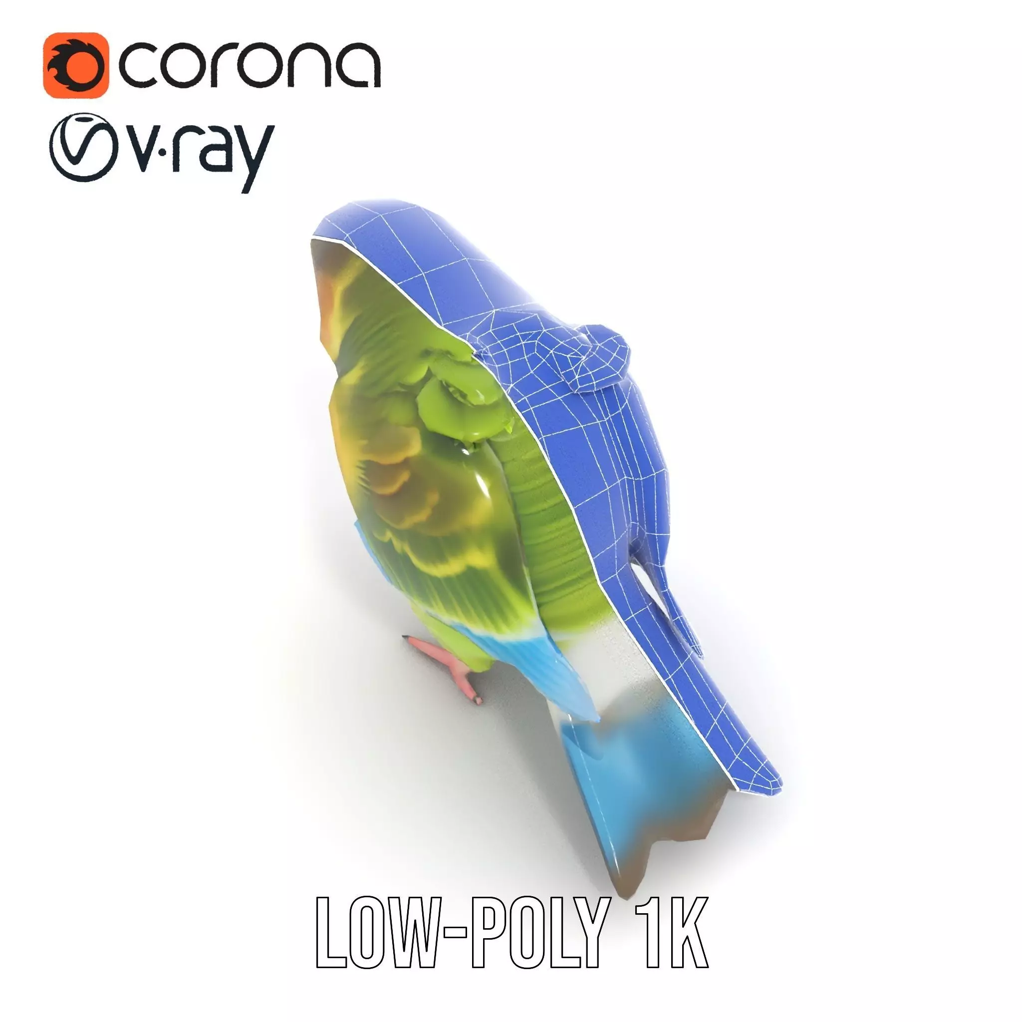 Colorful Parrot model pack Low-poly 3D model_28