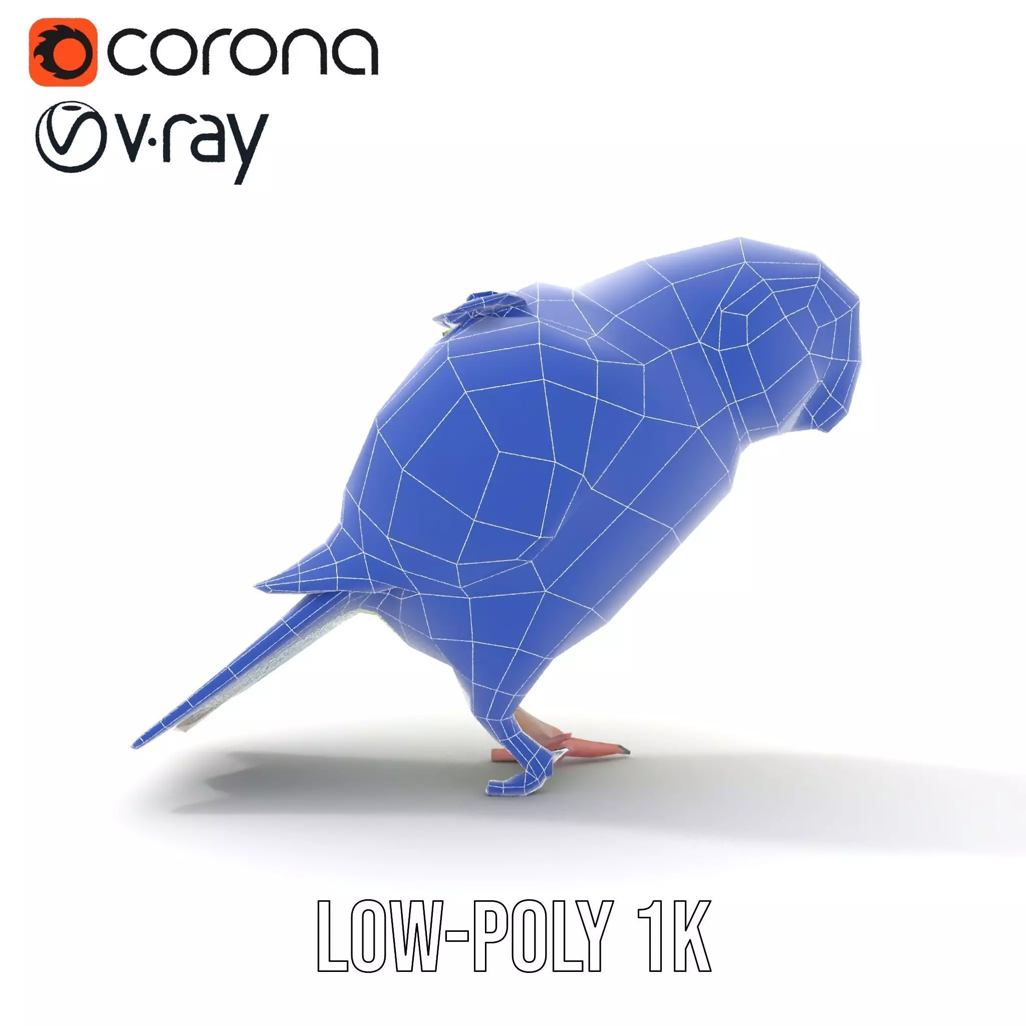 Colorful Parrot model pack Low-poly 3D model_13