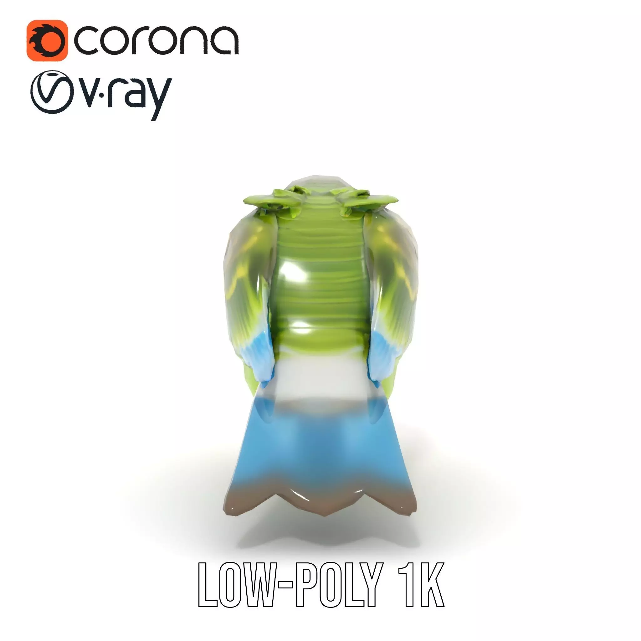 Colorful Parrot model pack Low-poly 3D model_23