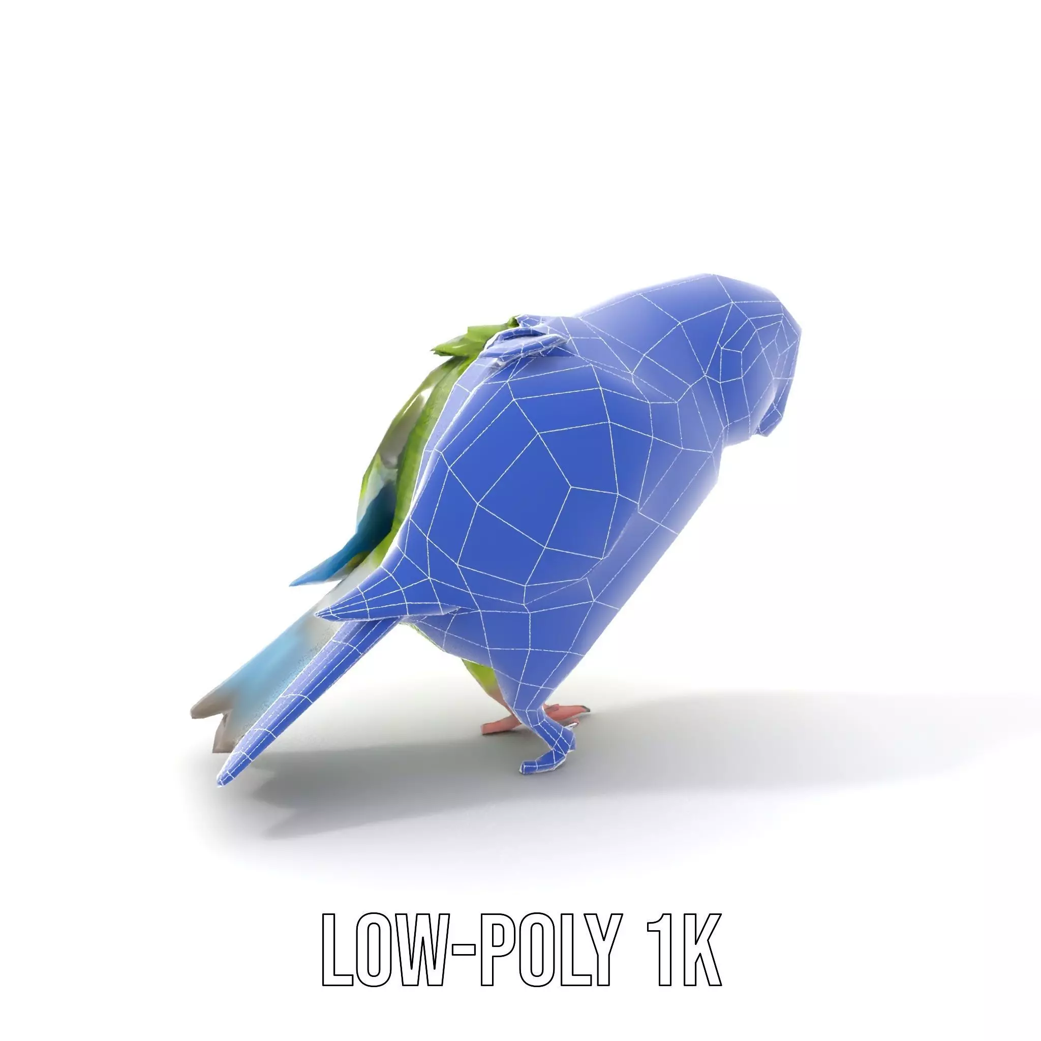 Colorful Parrot model pack Low-poly 3D model_15