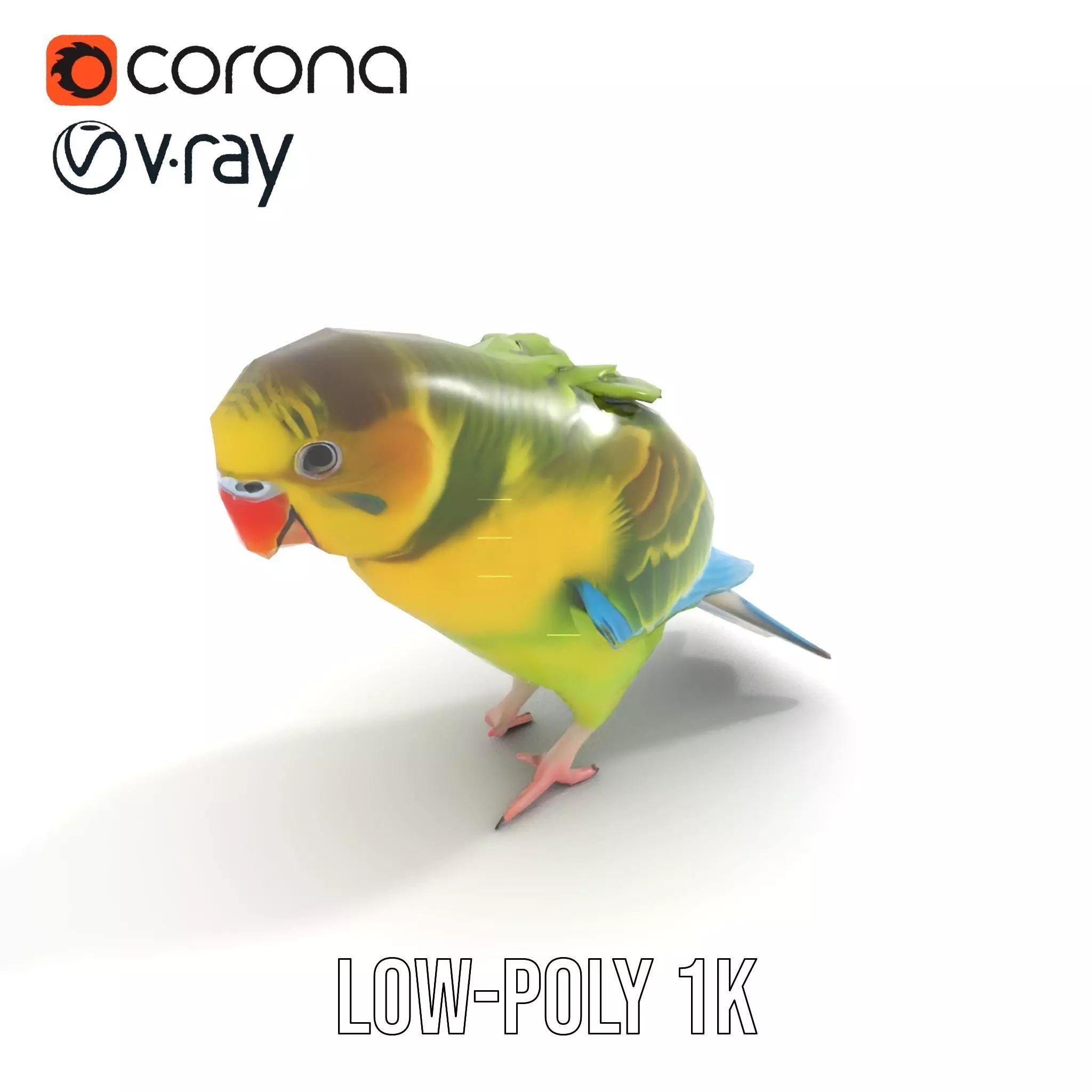 Colorful Parrot model pack Low-poly 3D model_8