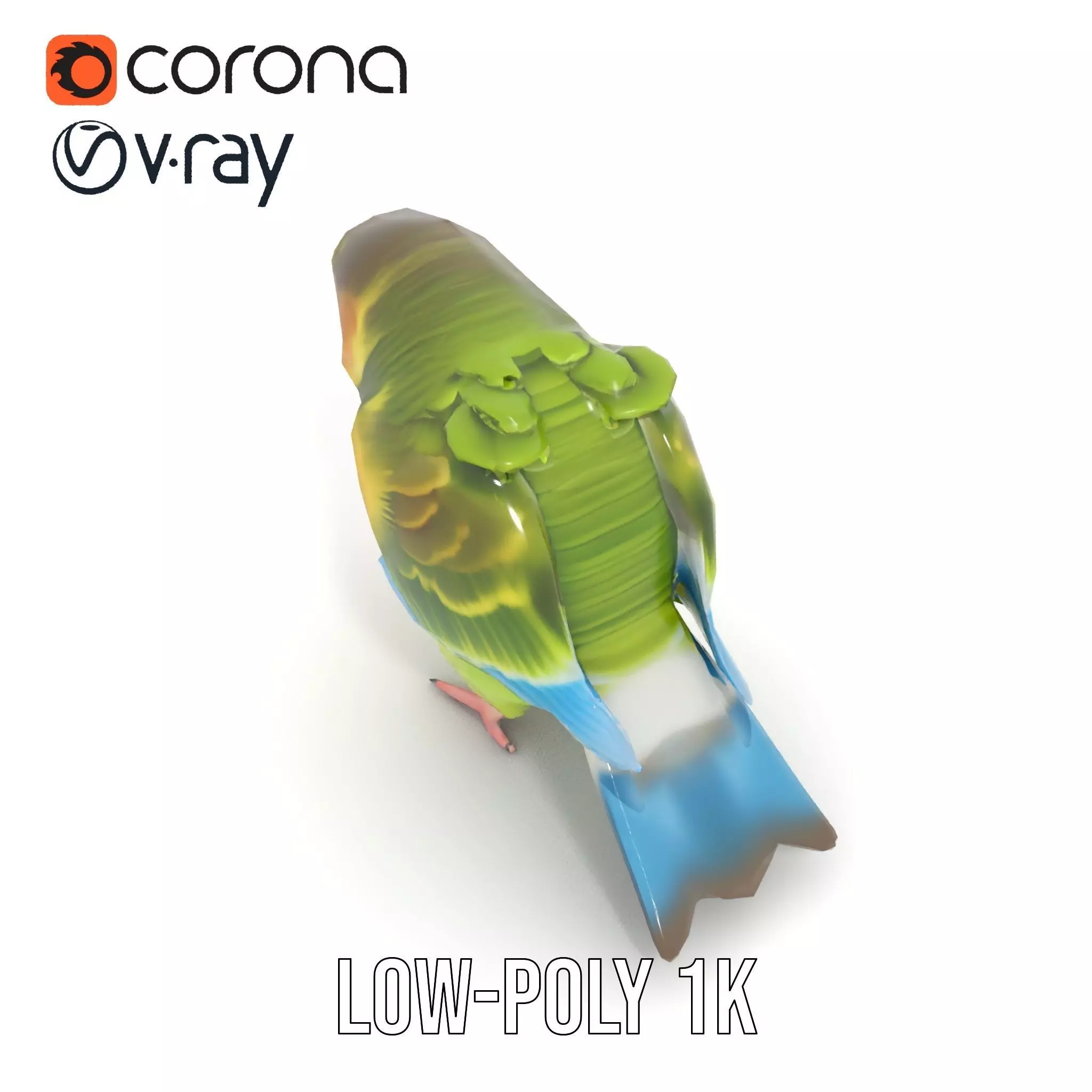 Colorful Parrot model pack Low-poly 3D model_18