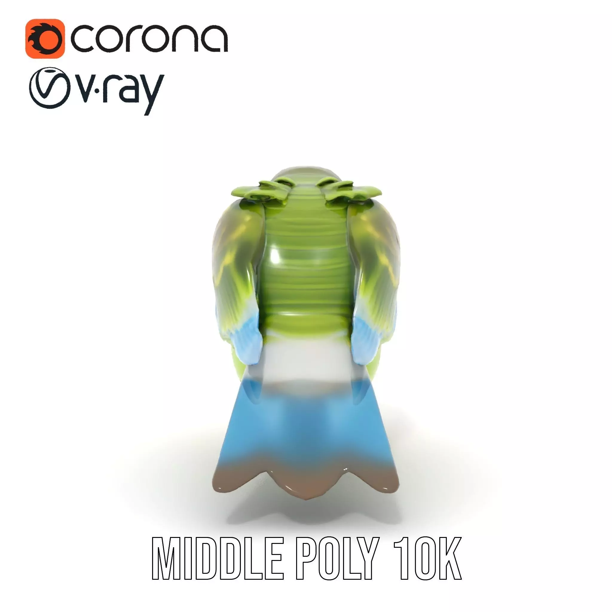 Colorful Parrot model pack Low-poly 3D model_12