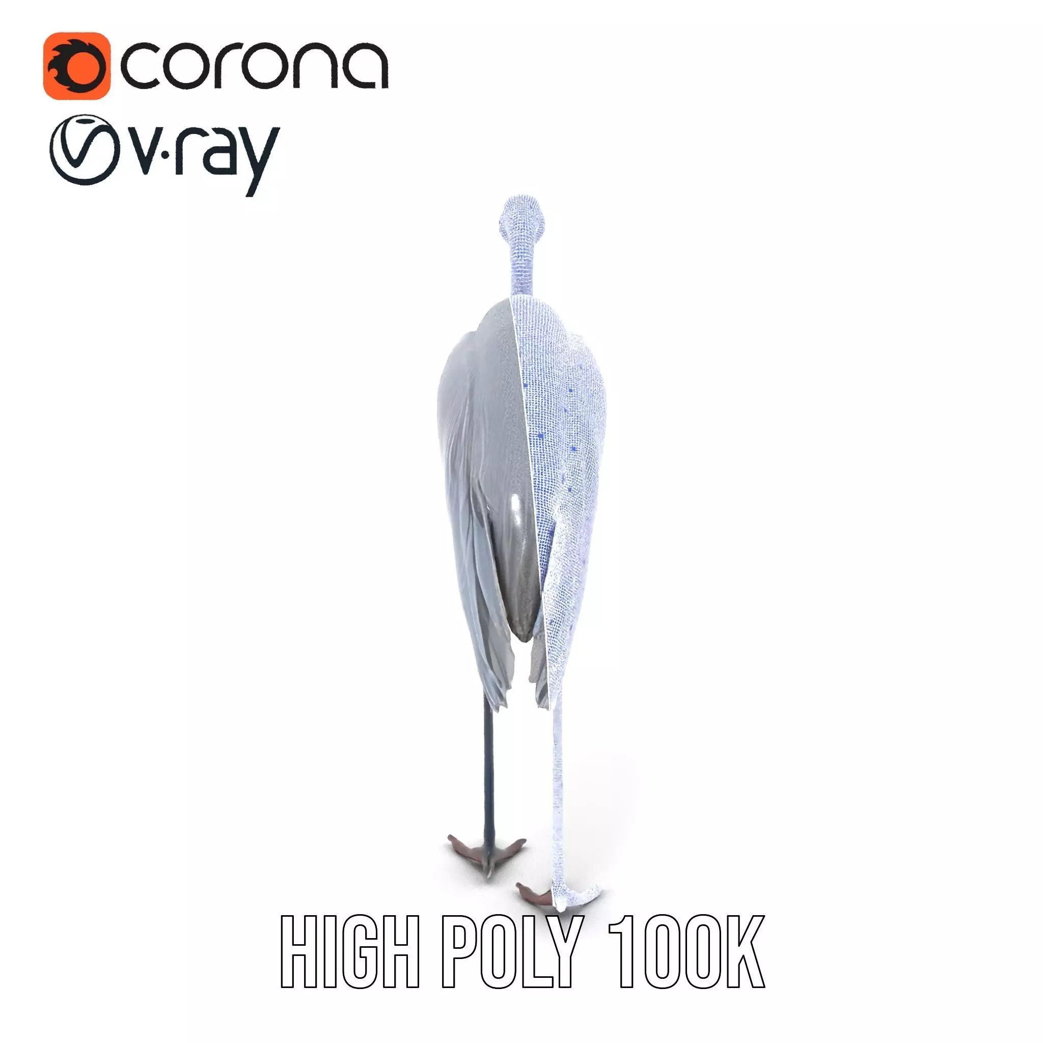 Elegant Heron model pack Low-poly 3D model_30