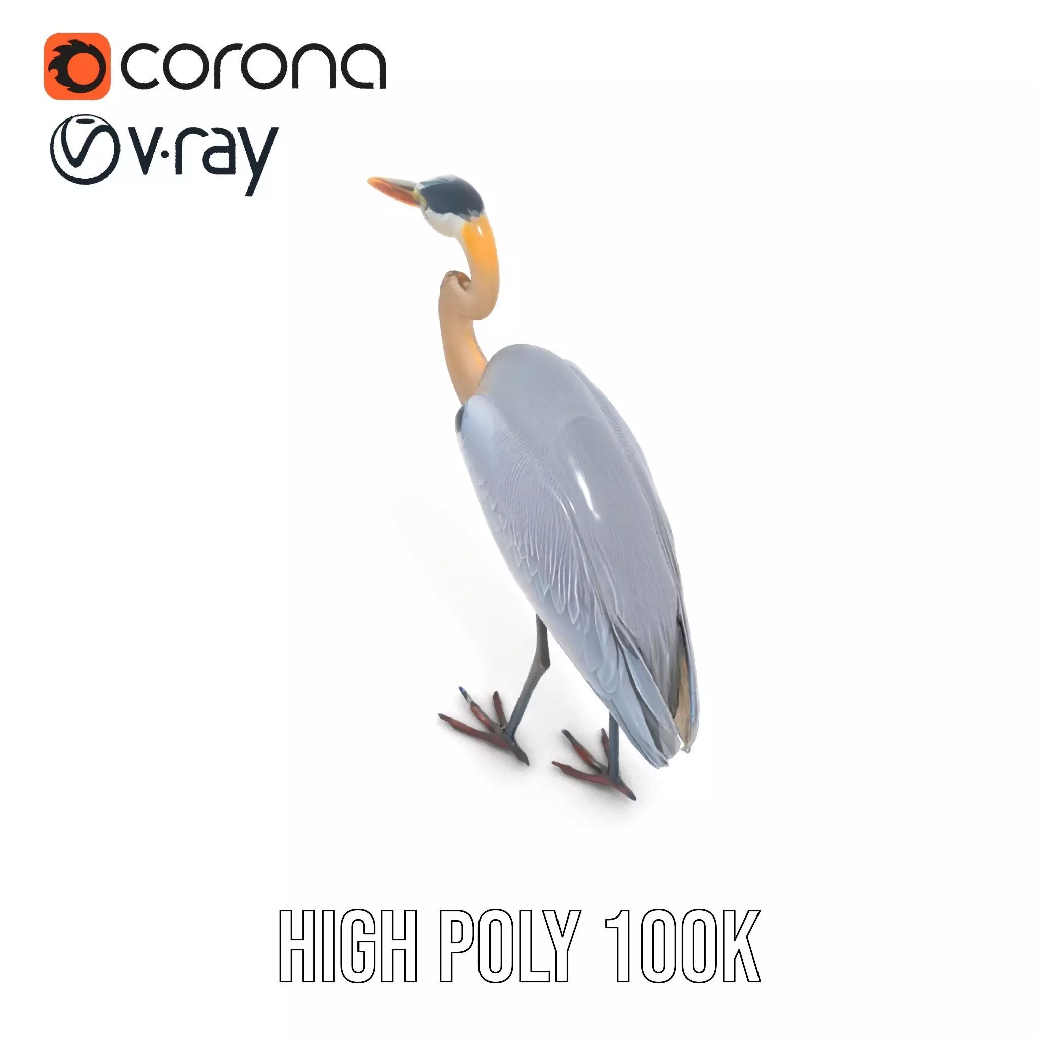 Elegant Heron model pack Low-poly 3D model_33