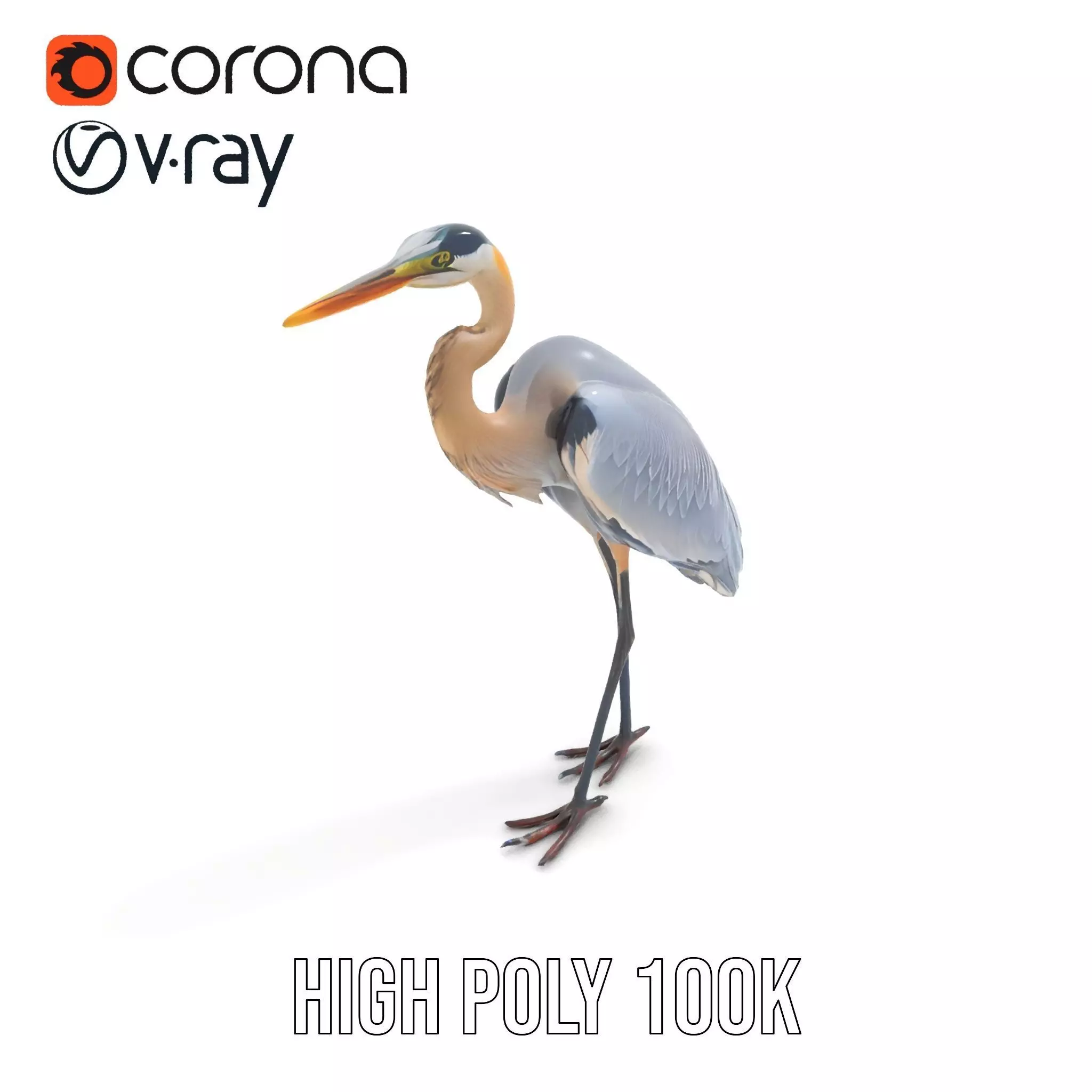 Elegant Heron model pack Low-poly 3D model_16