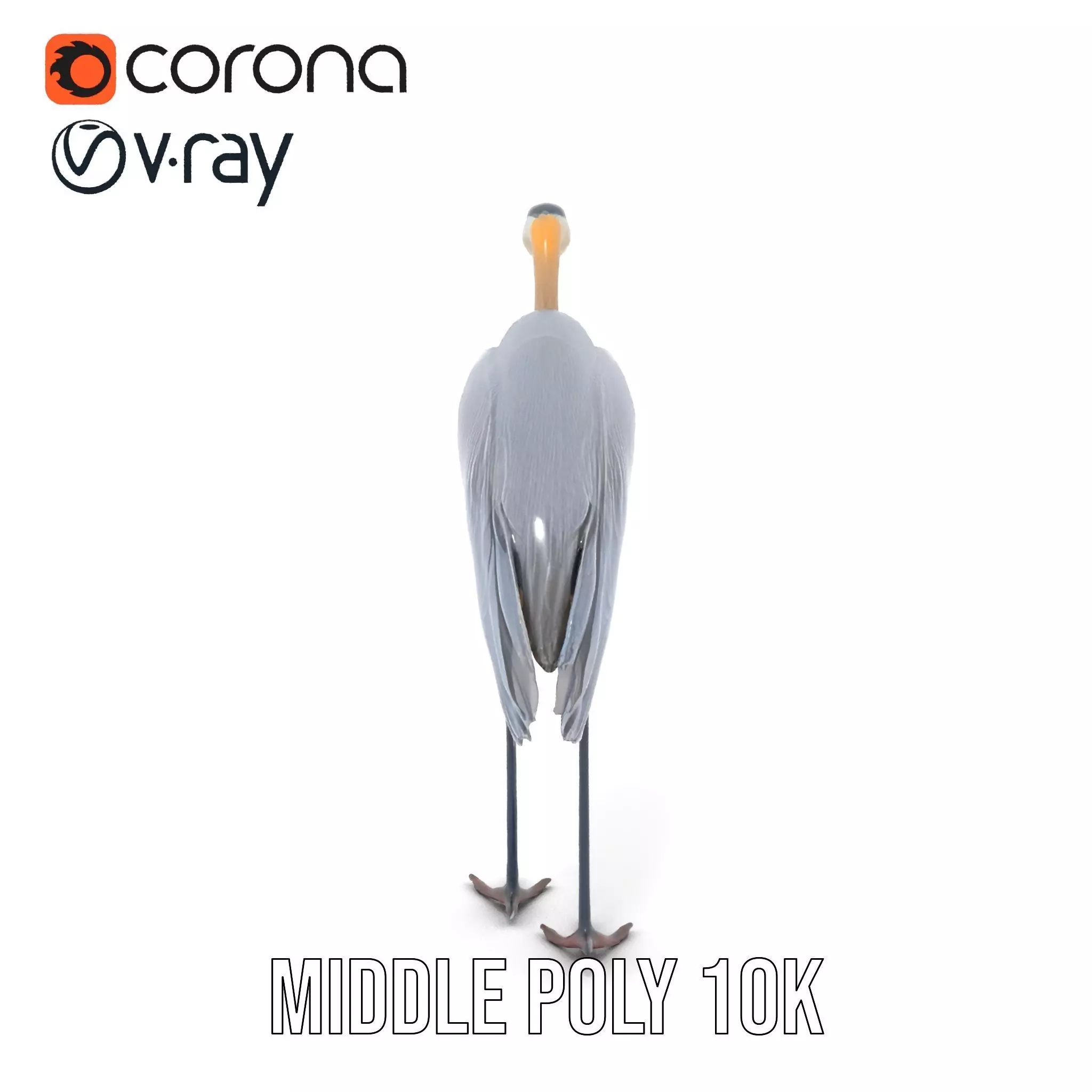 Elegant Heron model pack Low-poly 3D model_14