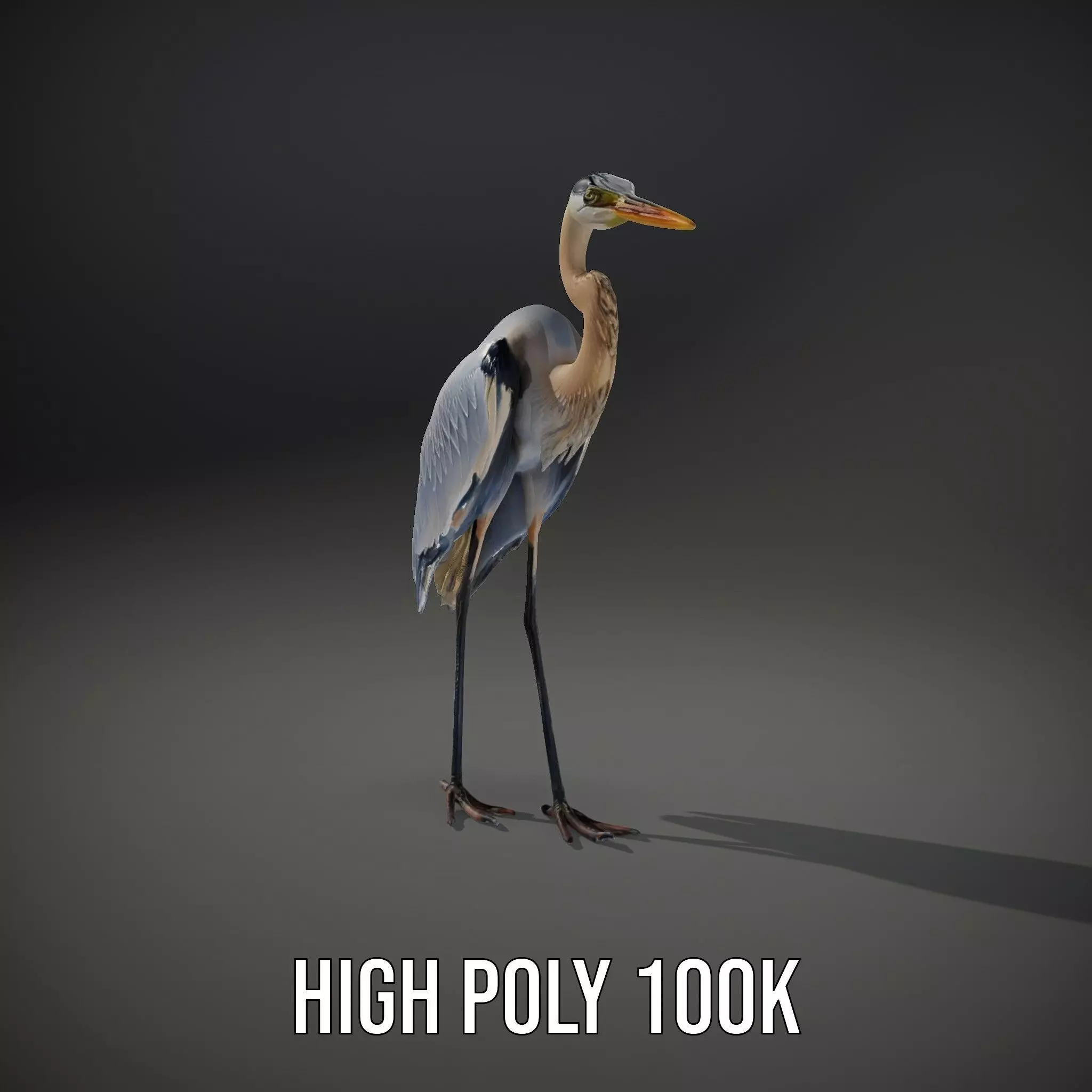 Elegant Heron model pack Low-poly 3D model_9