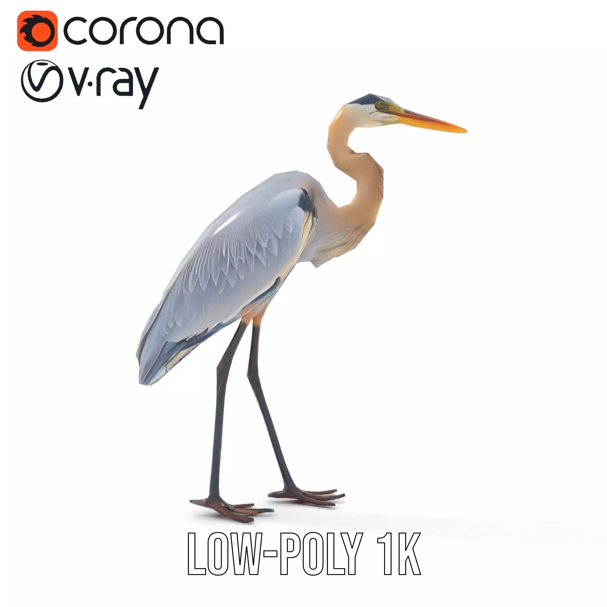 Elegant Heron model pack Low-poly 3D model_26