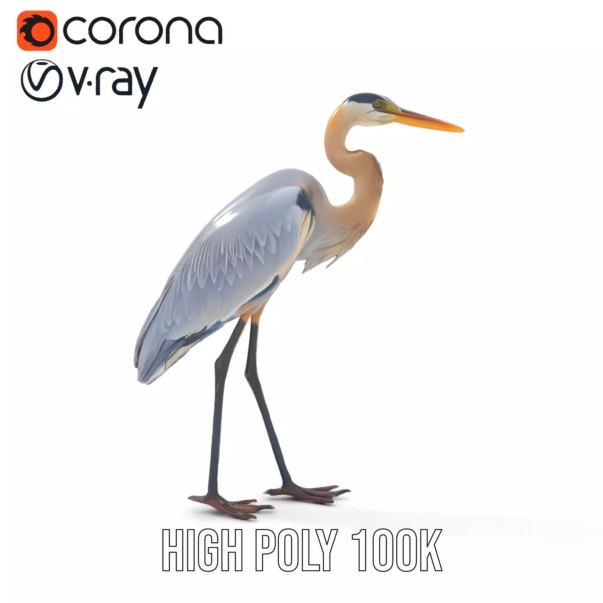 Elegant Heron model pack Low-poly 3D model_21