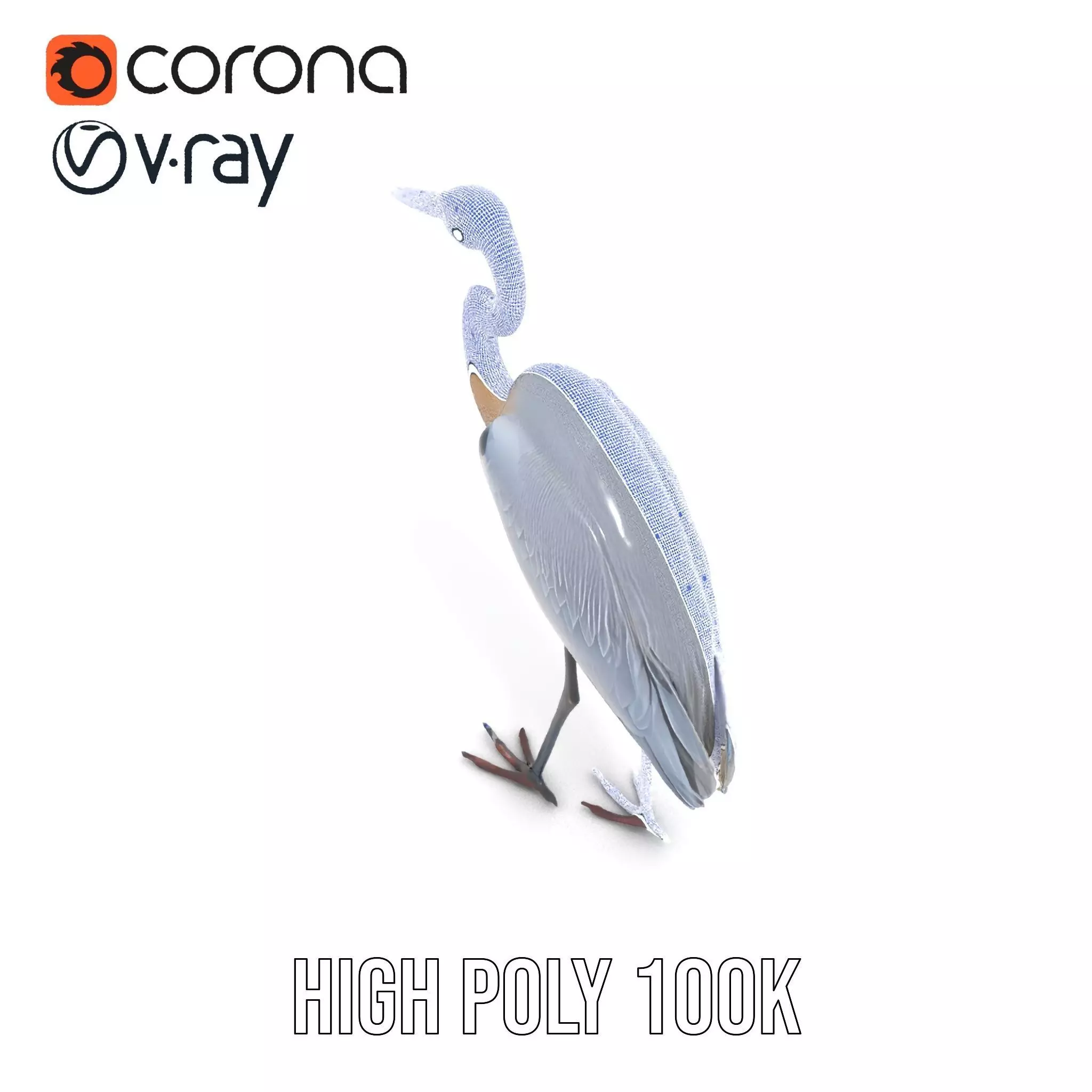 Elegant Heron model pack Low-poly 3D model_34