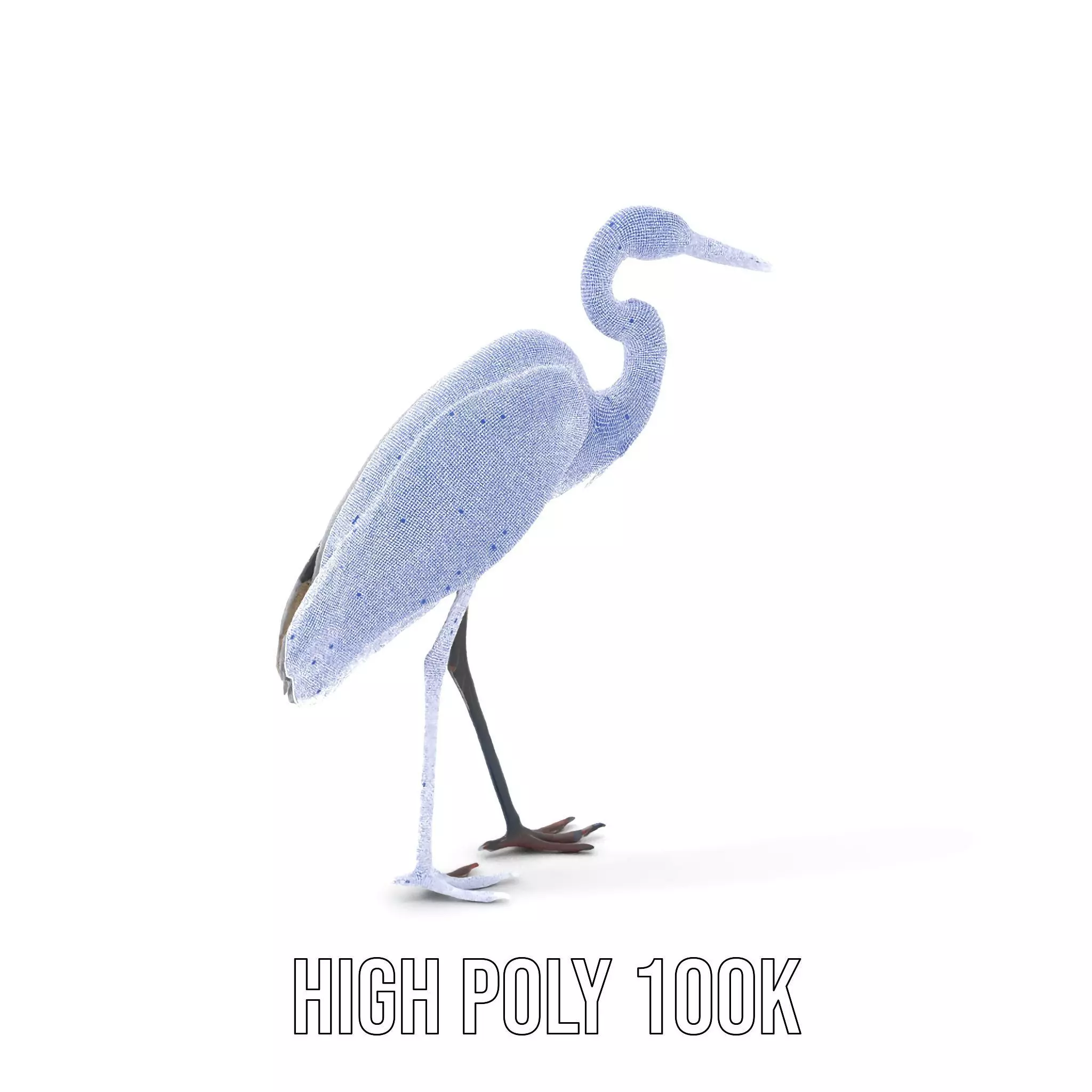 Elegant Heron model pack Low-poly 3D model_5