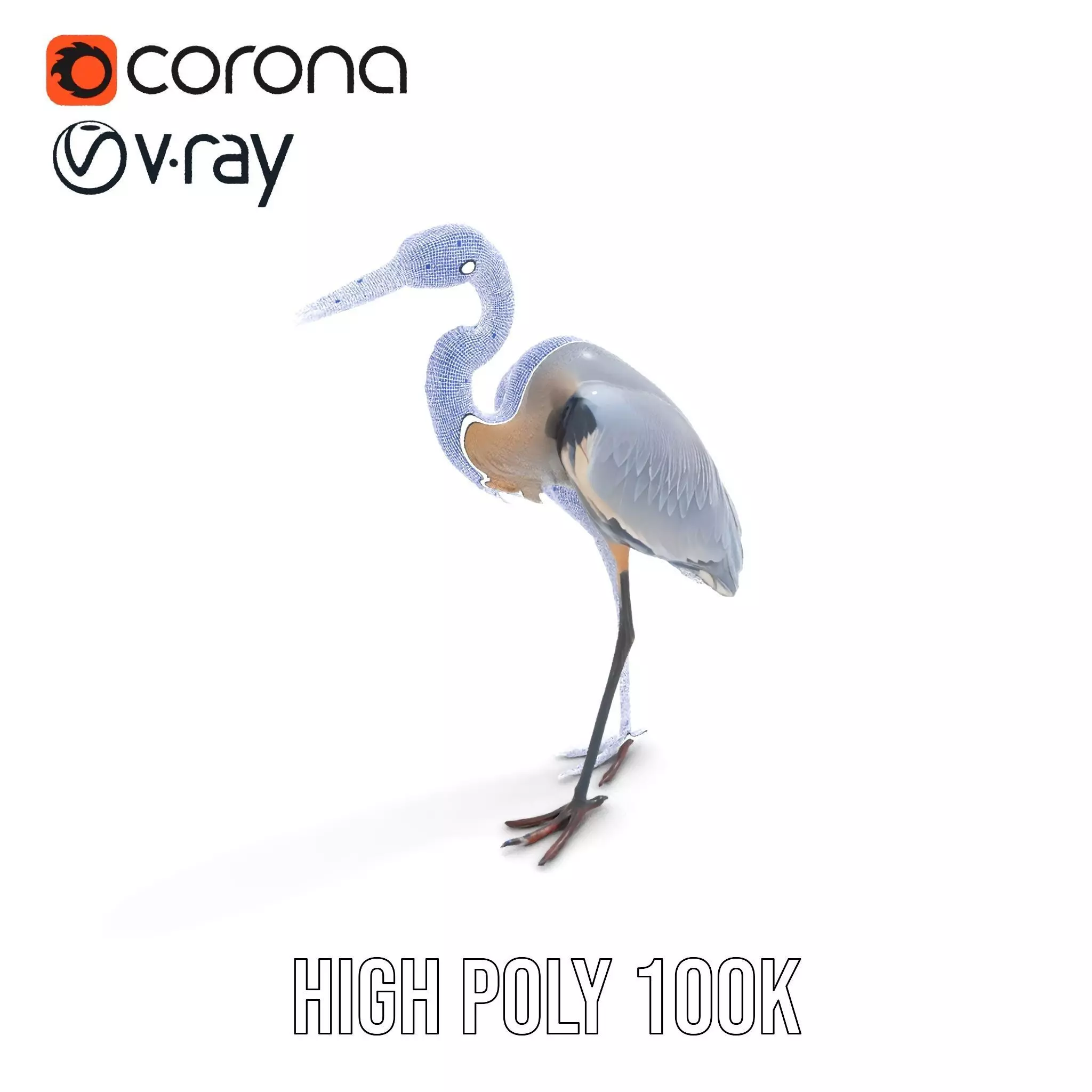 Elegant Heron model pack Low-poly 3D model_35