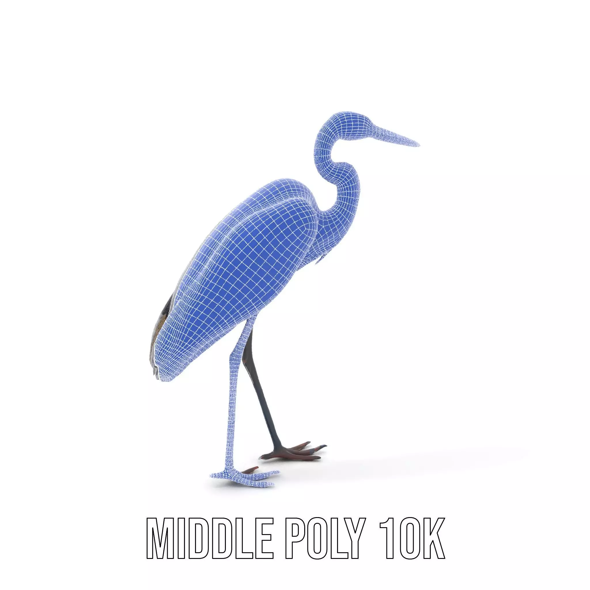 Elegant Heron model pack Low-poly 3D model_31