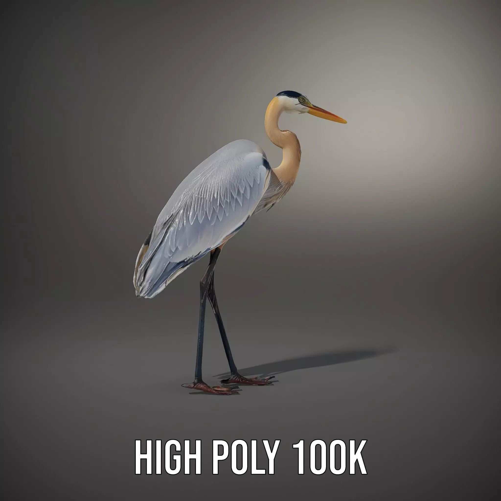 Elegant Heron model pack Low-poly 3D model_11