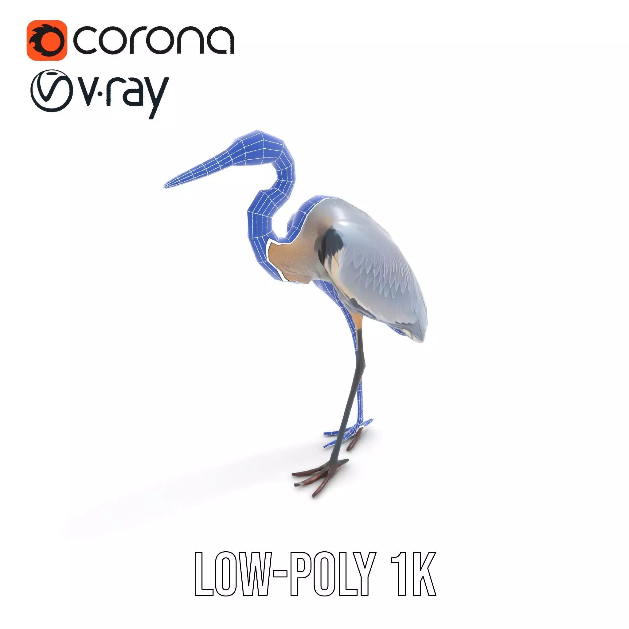 Elegant Heron model pack Low-poly 3D model_20