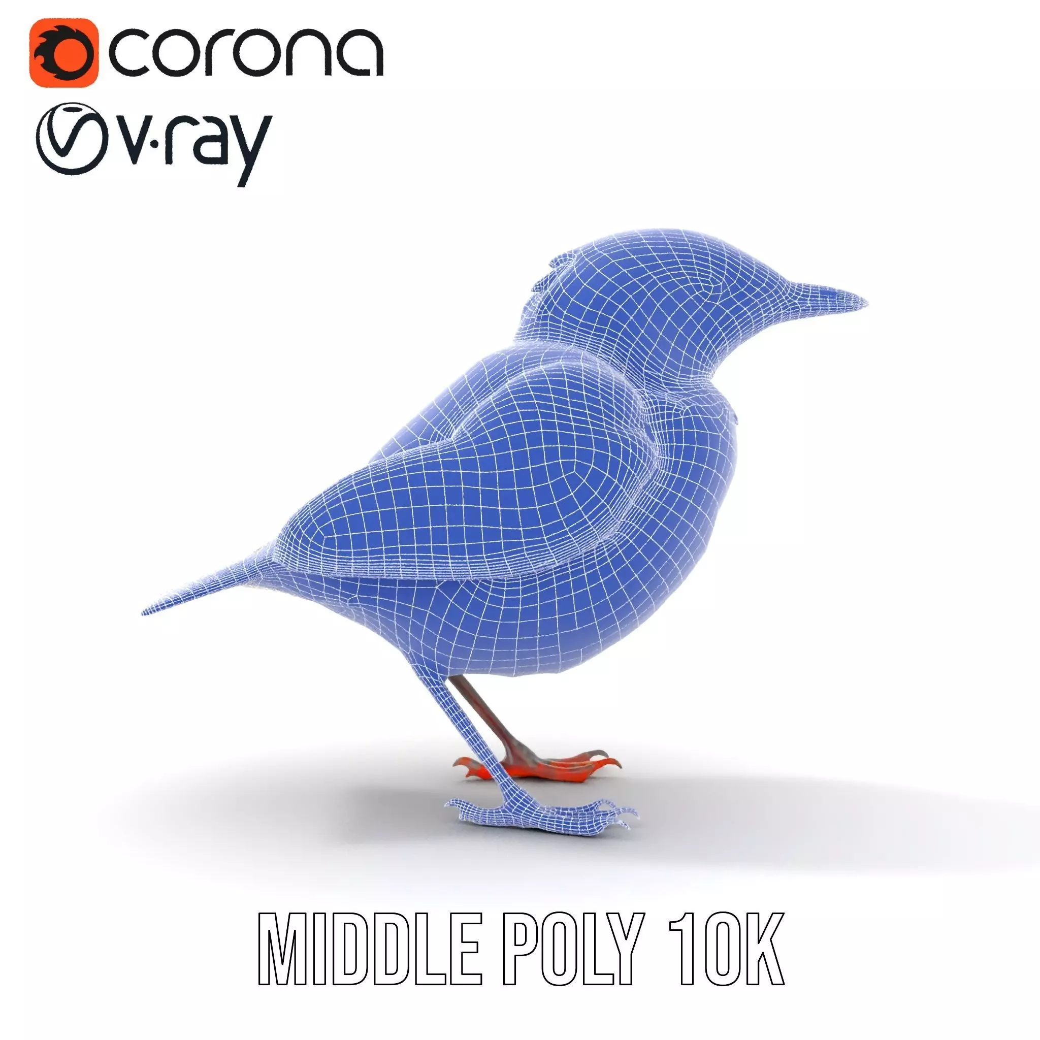 Iridescent Starling model pack Low-poly 3D model_30