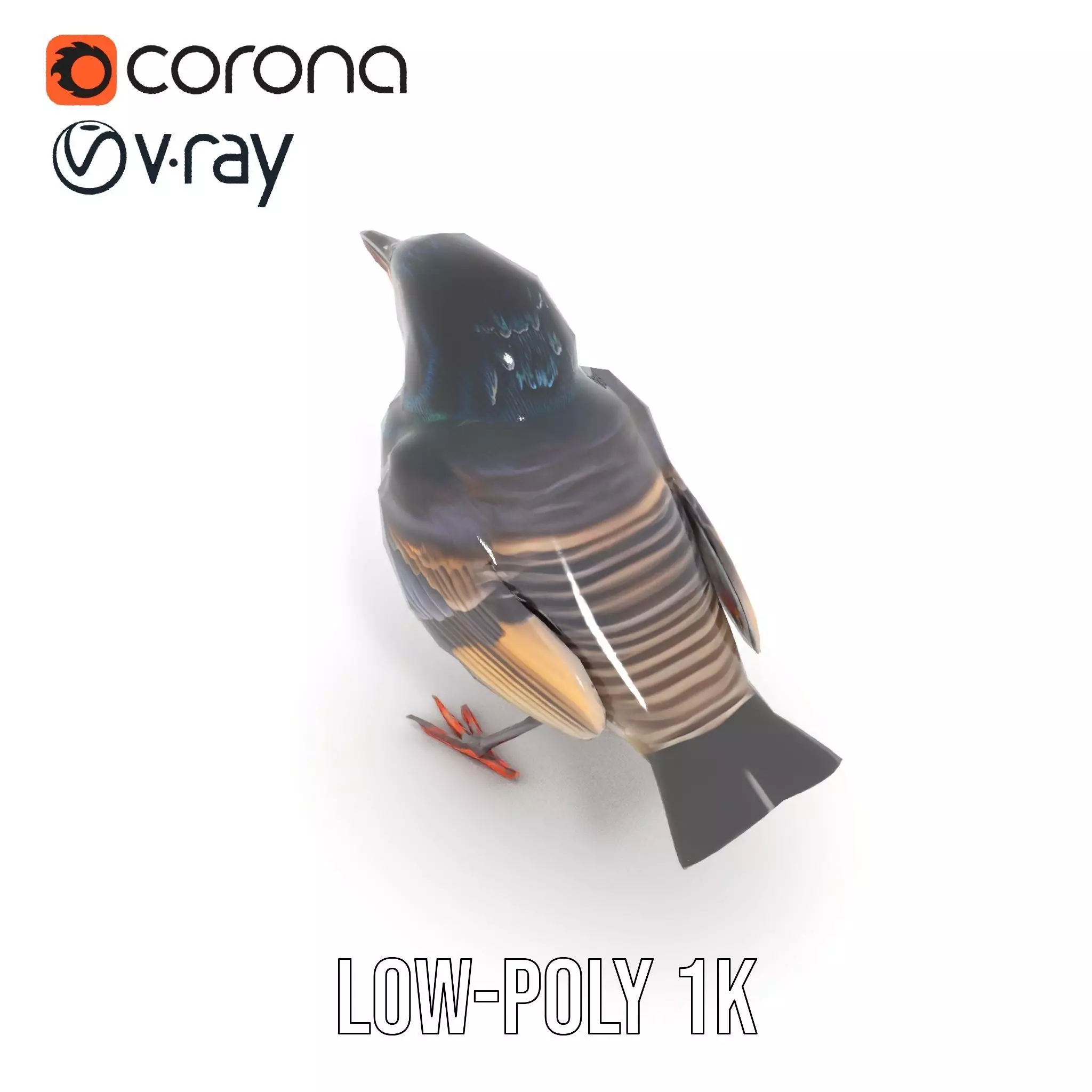 Iridescent Starling model pack Low-poly 3D model_25