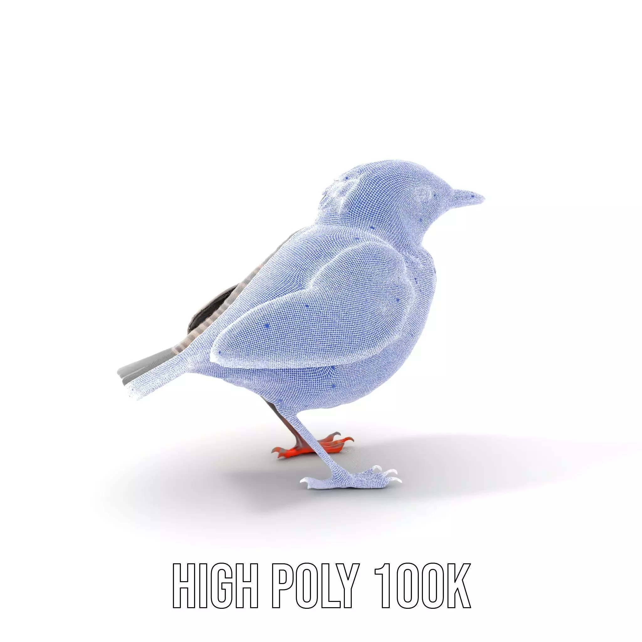 Iridescent Starling model pack Low-poly 3D model_5