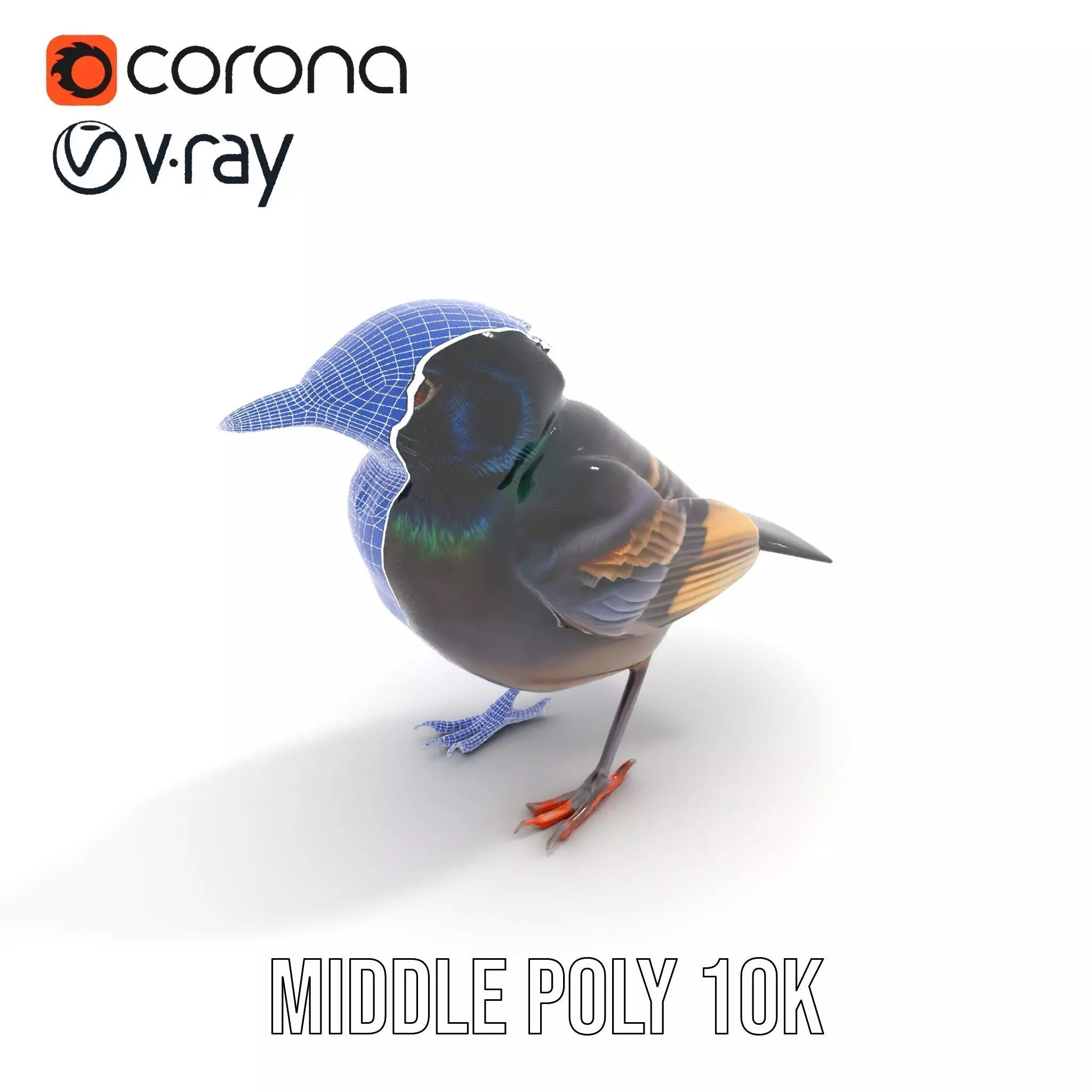 Iridescent Starling model pack Low-poly 3D model_27