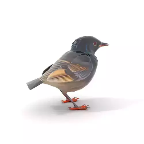 Iridescent Starling model pack Low-poly 3D model