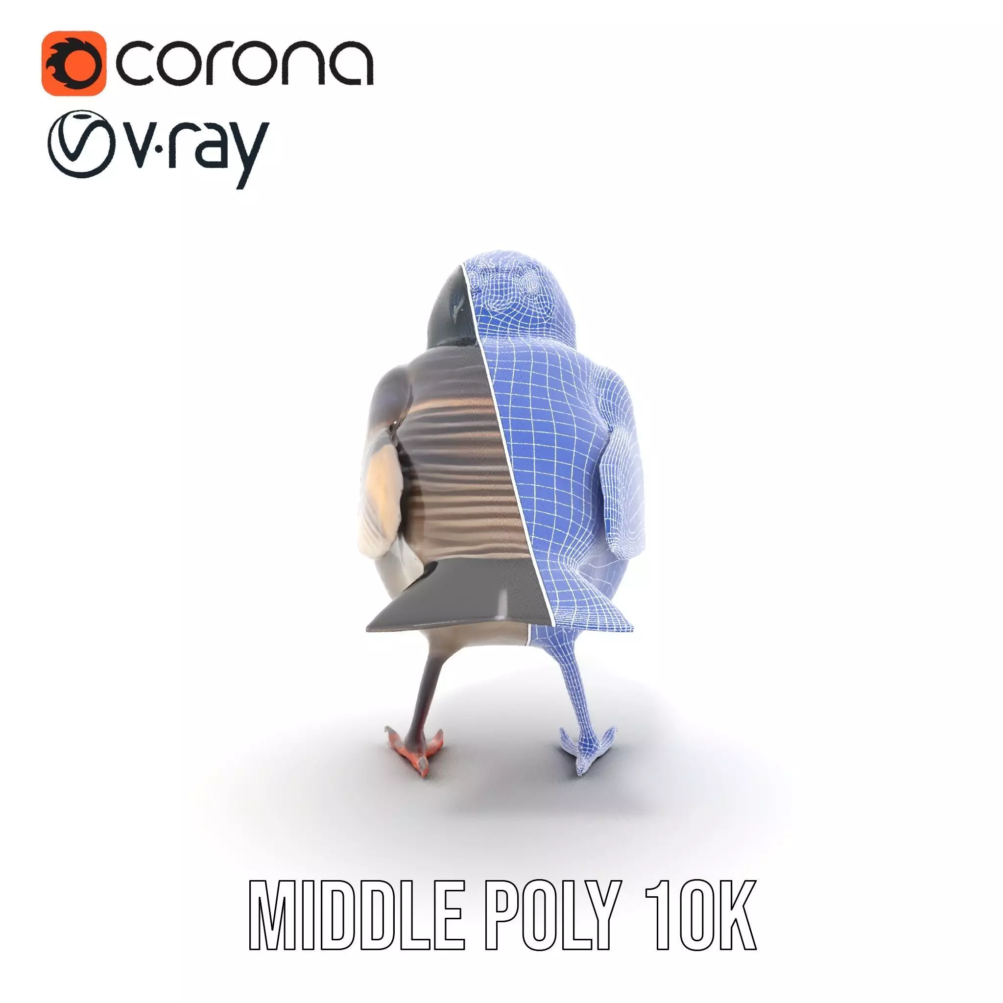 Iridescent Starling model pack Low-poly 3D model_24