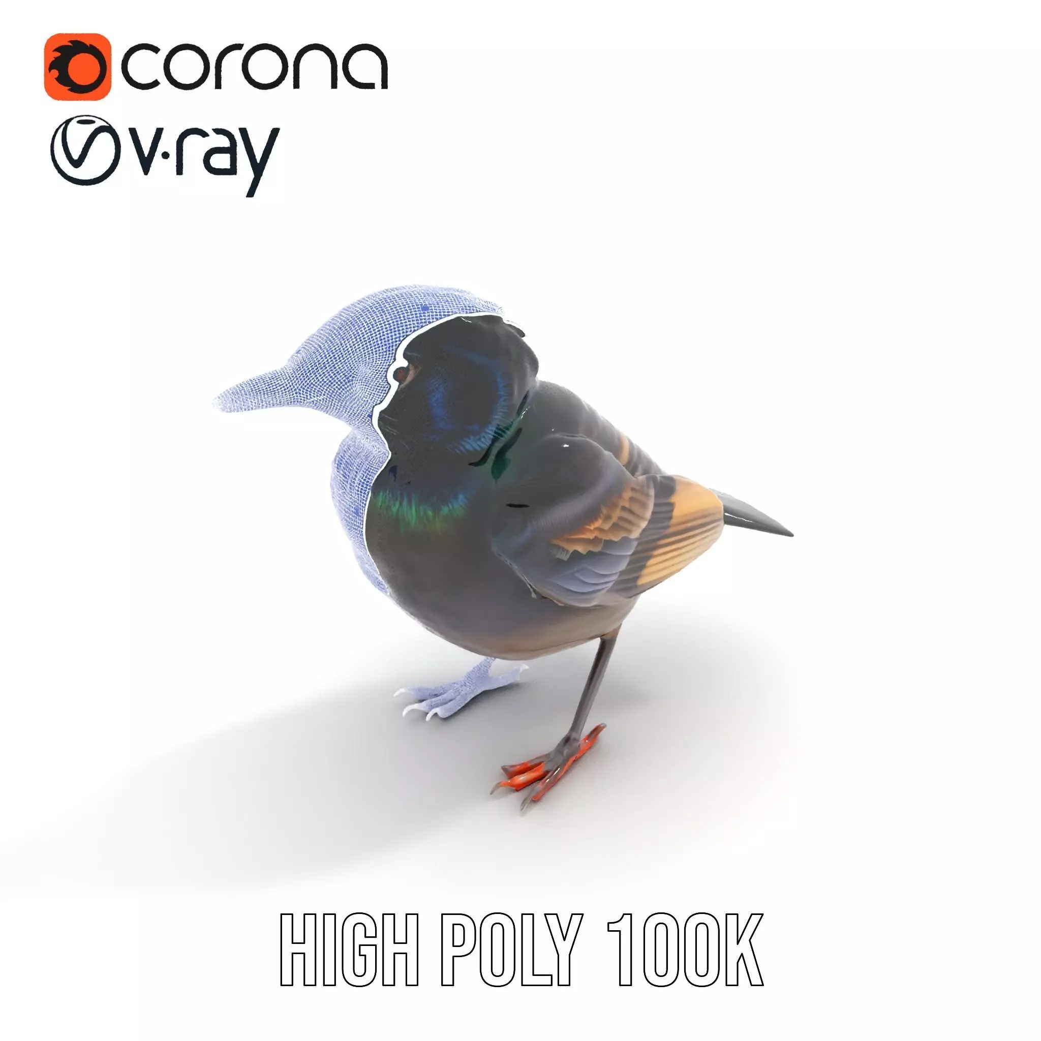 Iridescent Starling model pack Low-poly 3D model_29