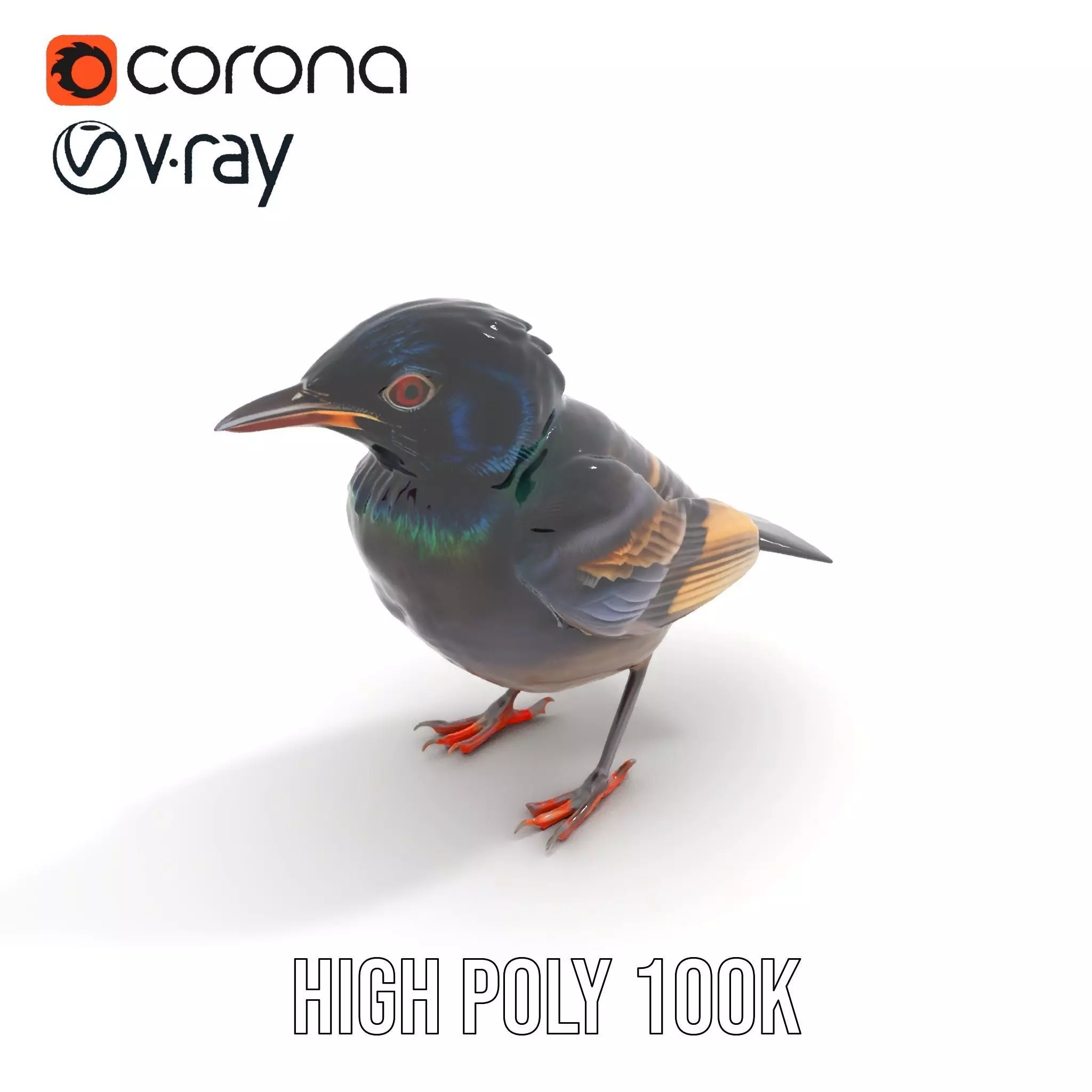 Iridescent Starling model pack Low-poly 3D model_33