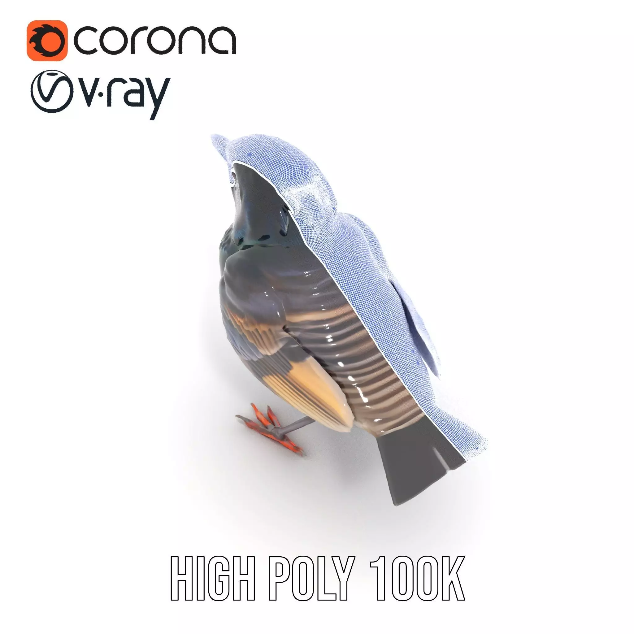 Iridescent Starling model pack Low-poly 3D model_26