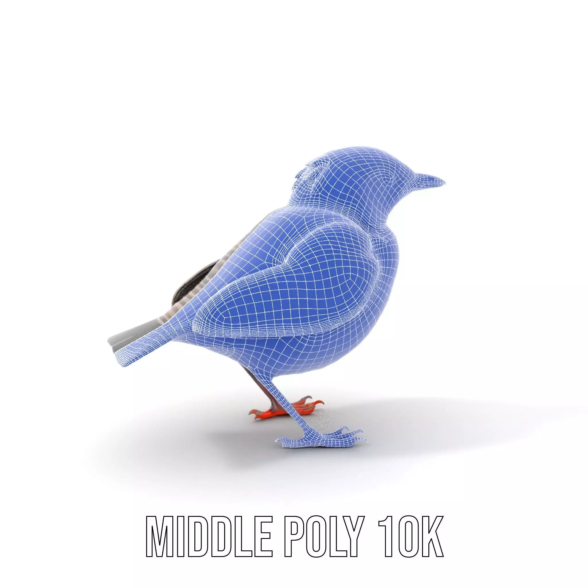 Iridescent Starling model pack Low-poly 3D model_17