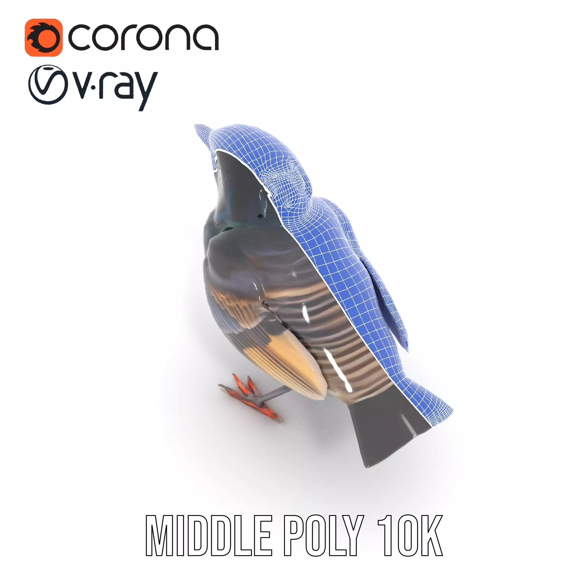 Iridescent Starling model pack Low-poly 3D model_22