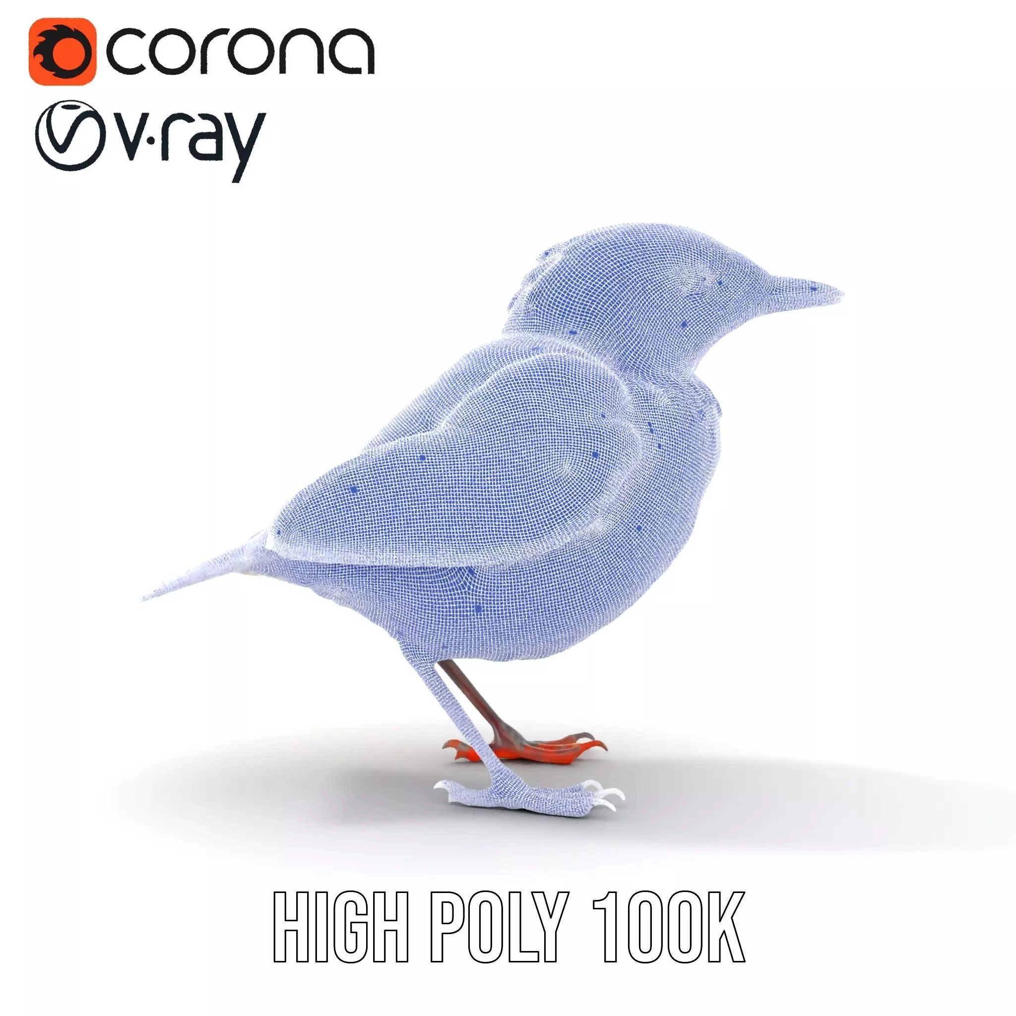 Iridescent Starling model pack Low-poly 3D model_35