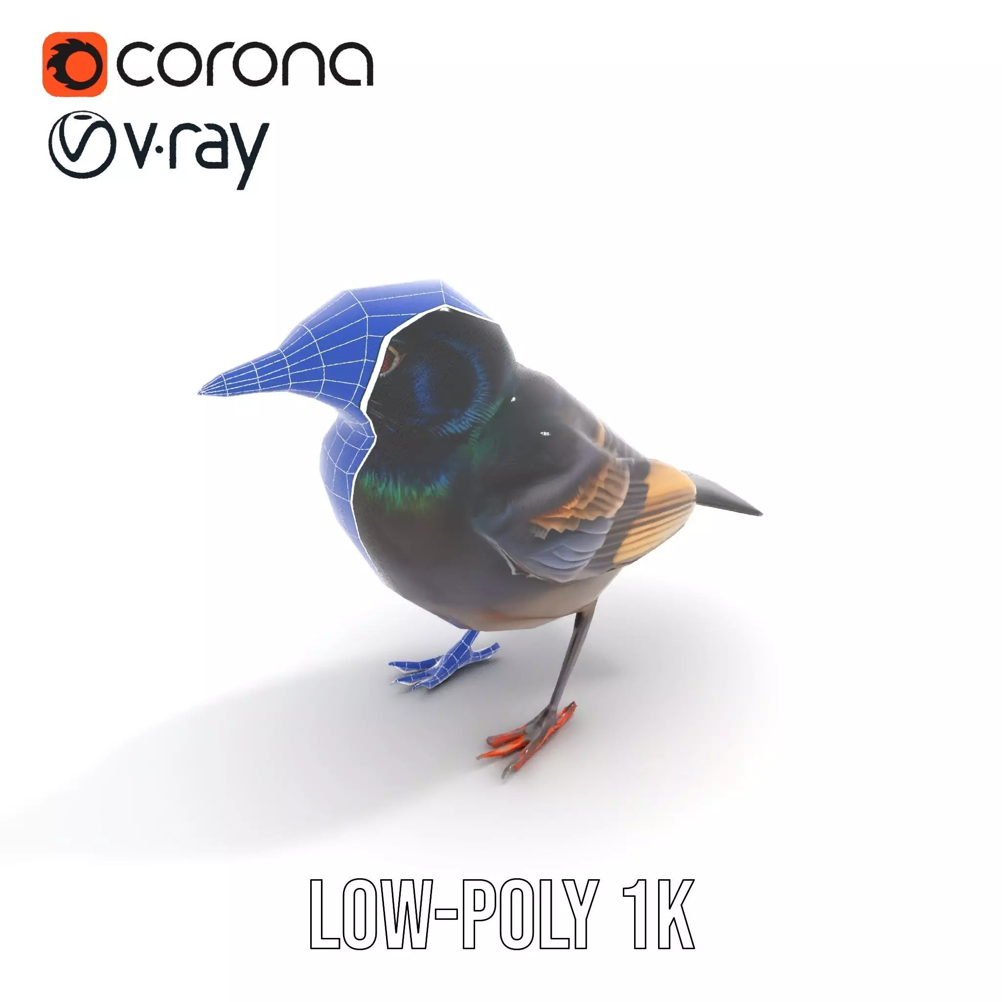 Iridescent Starling model pack Low-poly 3D model_28