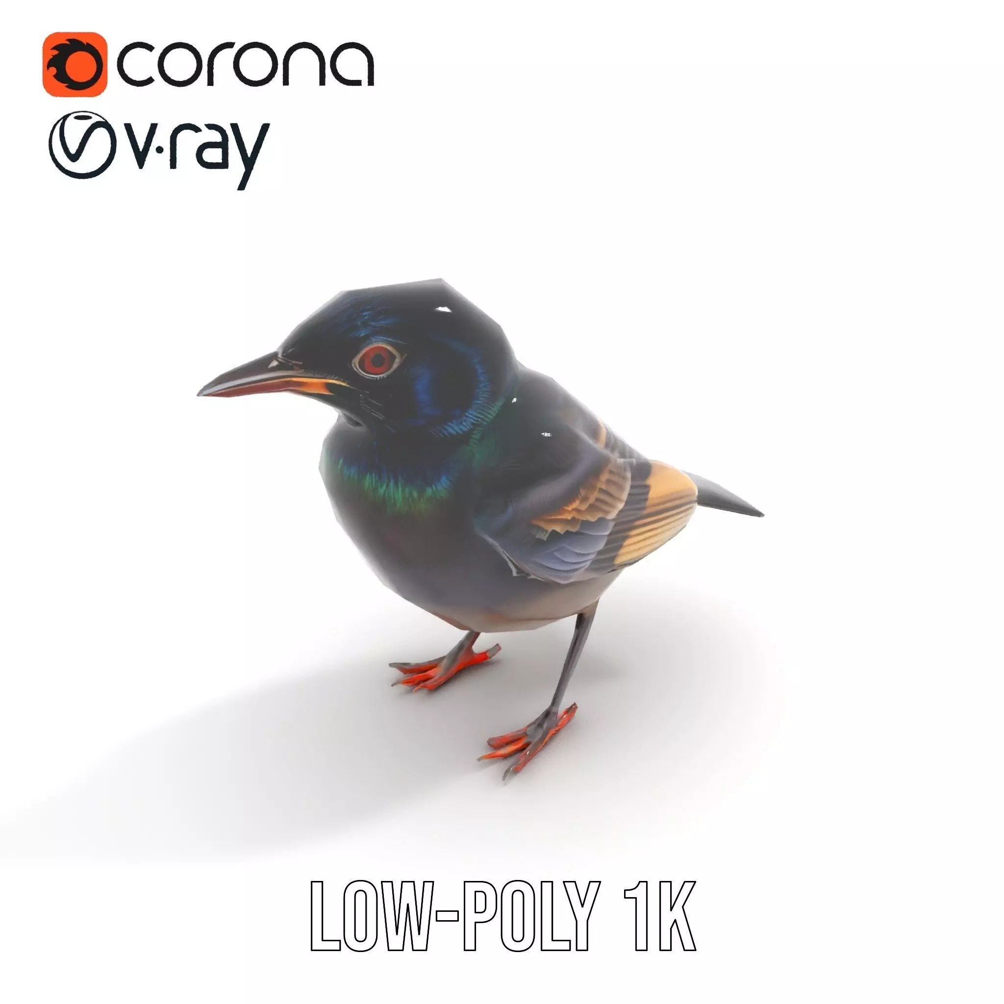 Iridescent Starling model pack Low-poly 3D model_23