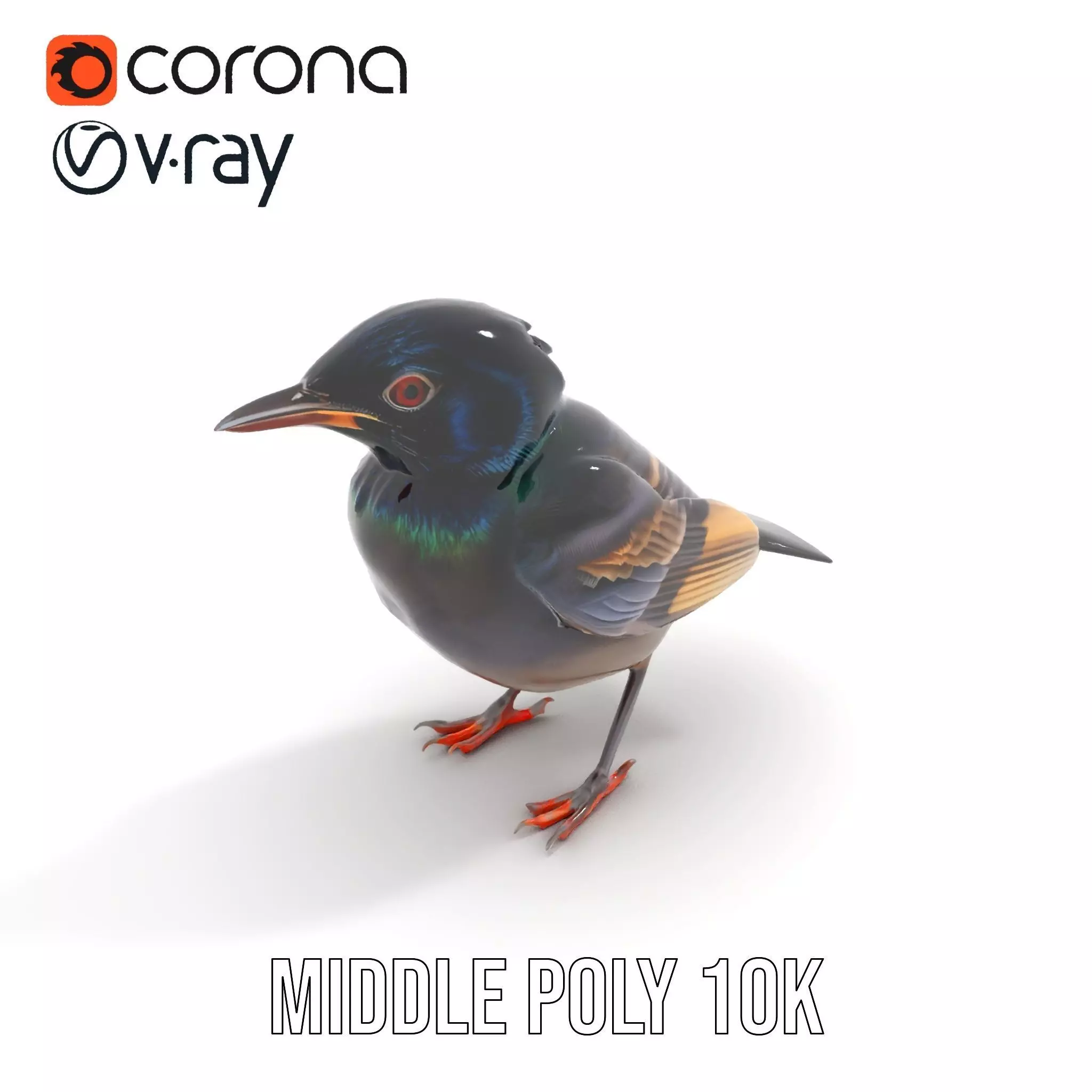Iridescent Starling model pack Low-poly 3D model_12