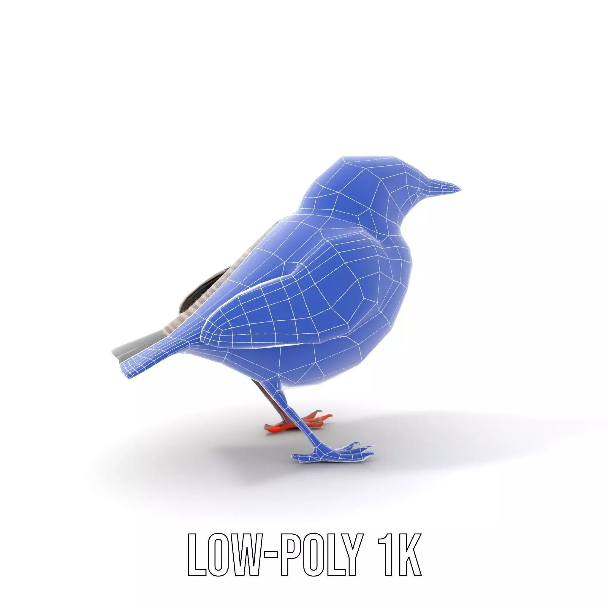 Iridescent Starling model pack Low-poly 3D model_13