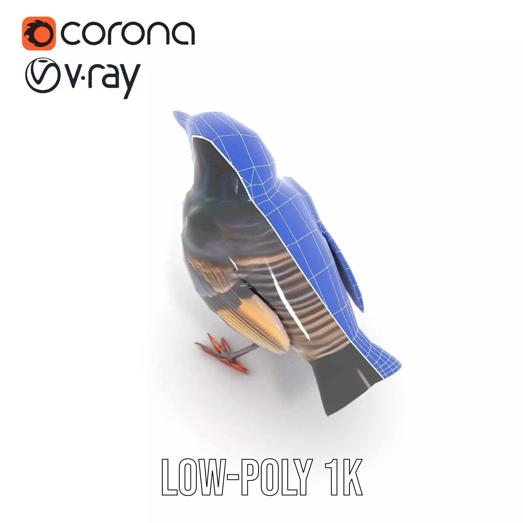 Iridescent Starling model pack Low-poly 3D model_18