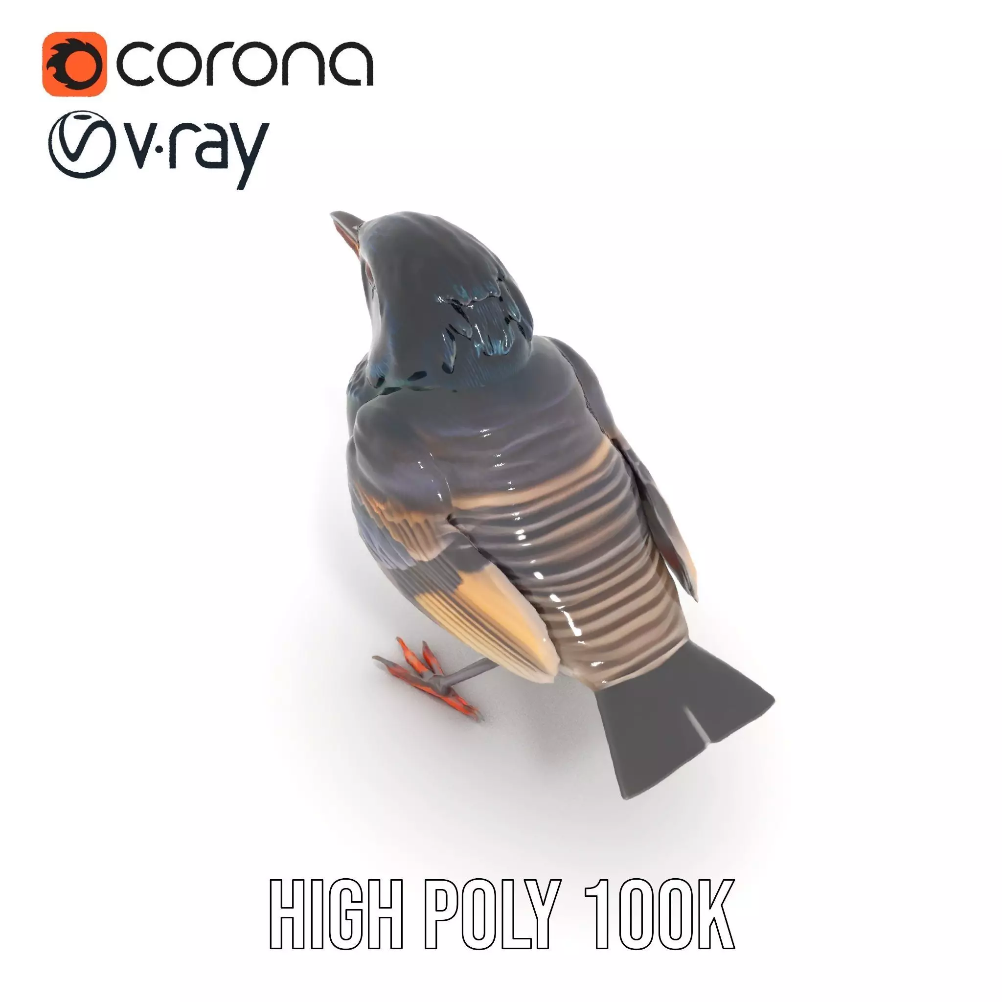 Iridescent Starling model pack Low-poly 3D model_16