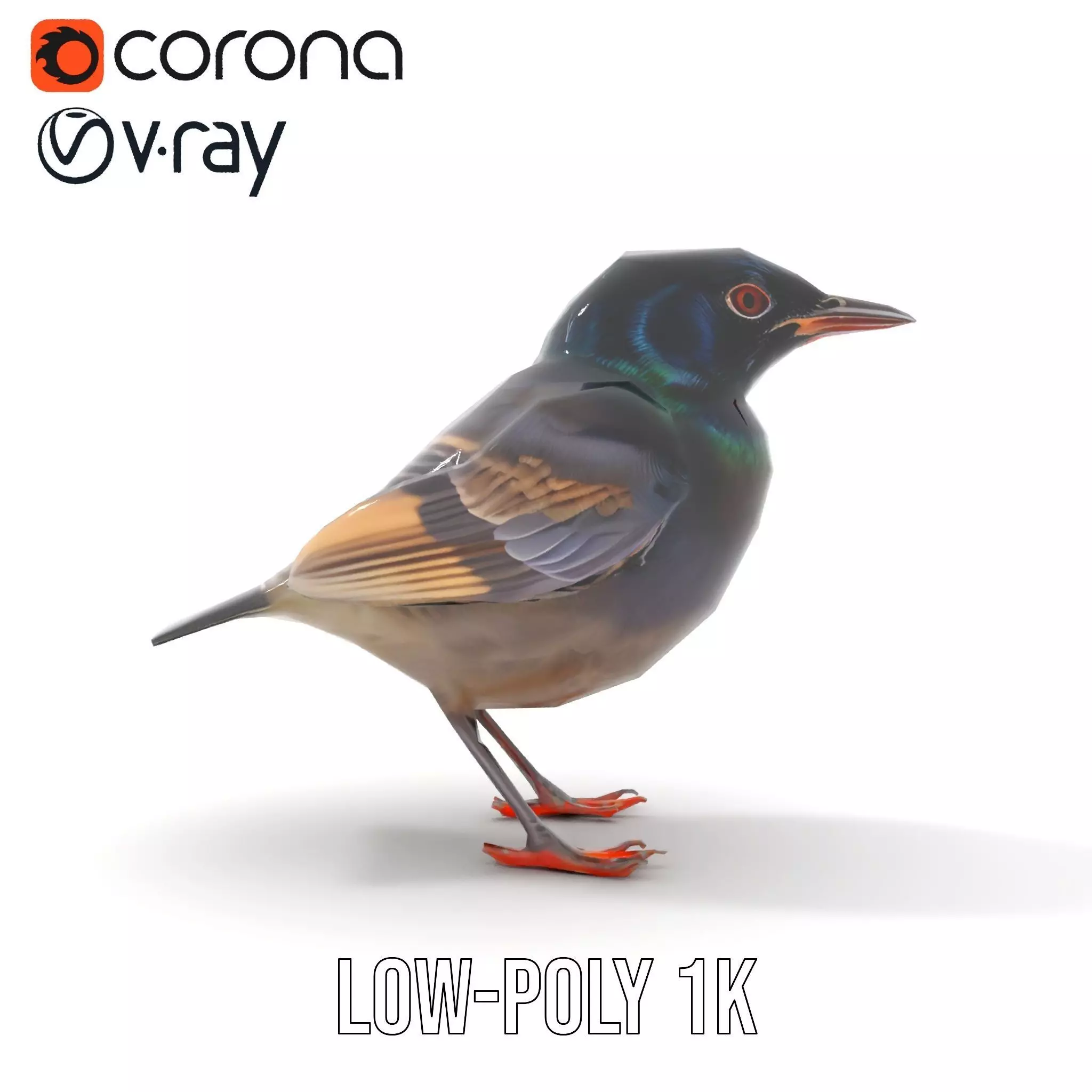 Iridescent Starling model pack Low-poly 3D model_21