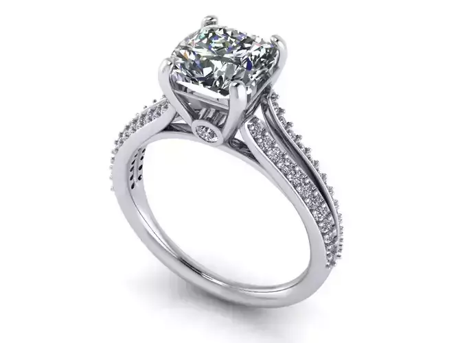 Woman Engagement Wedding Ring