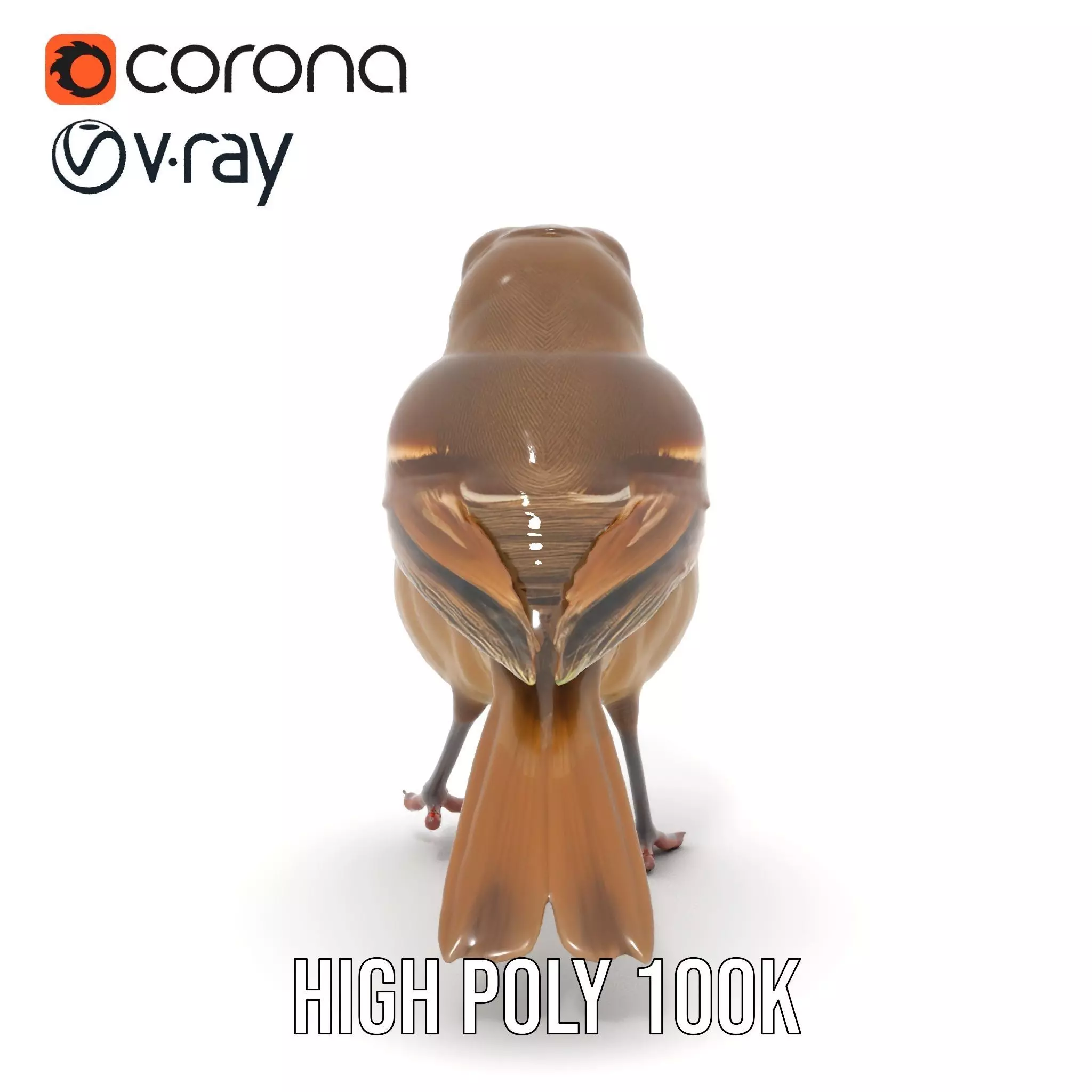 Golden Feathered Bird model pack Low-poly 3D model_30