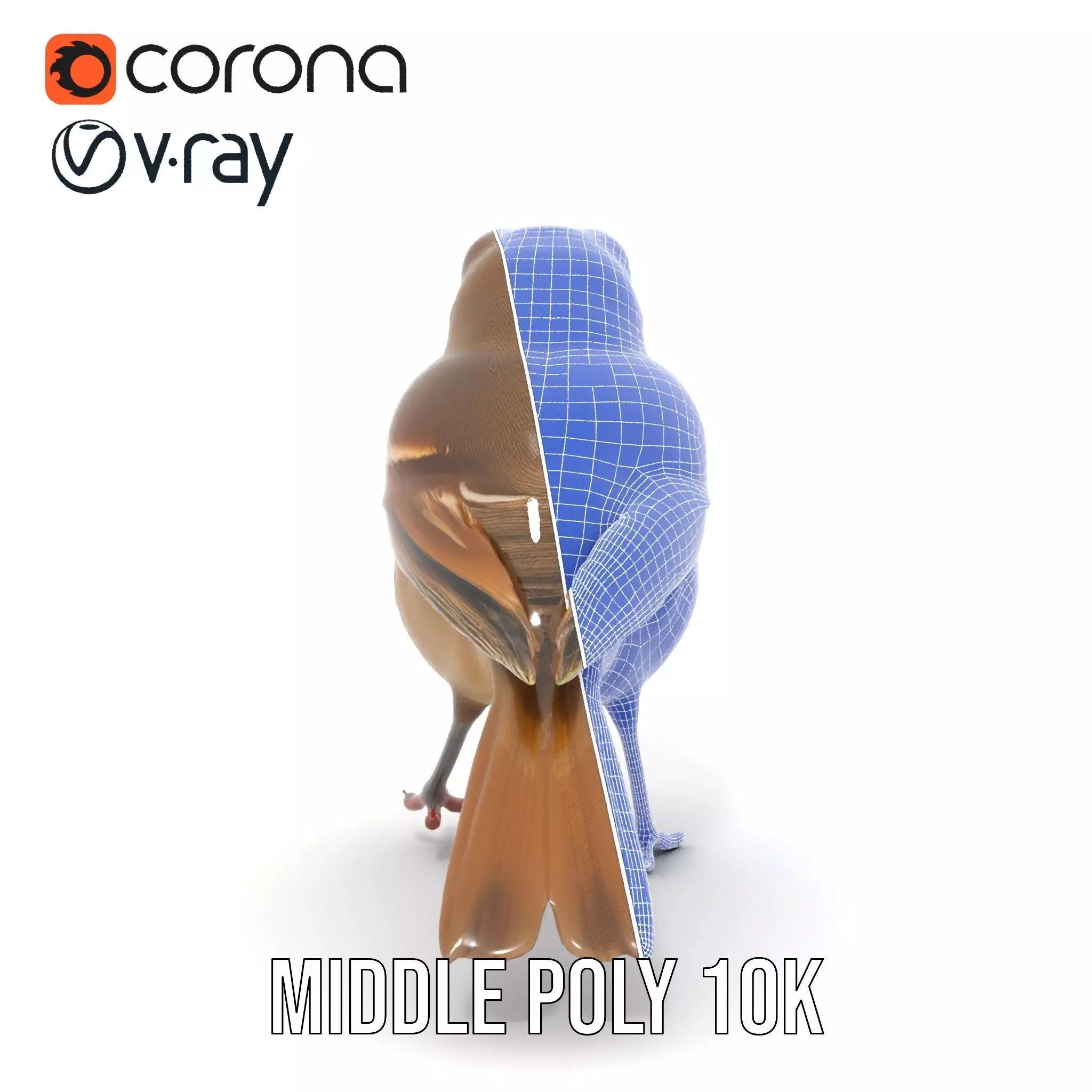 Golden Feathered Bird model pack Low-poly 3D model_31