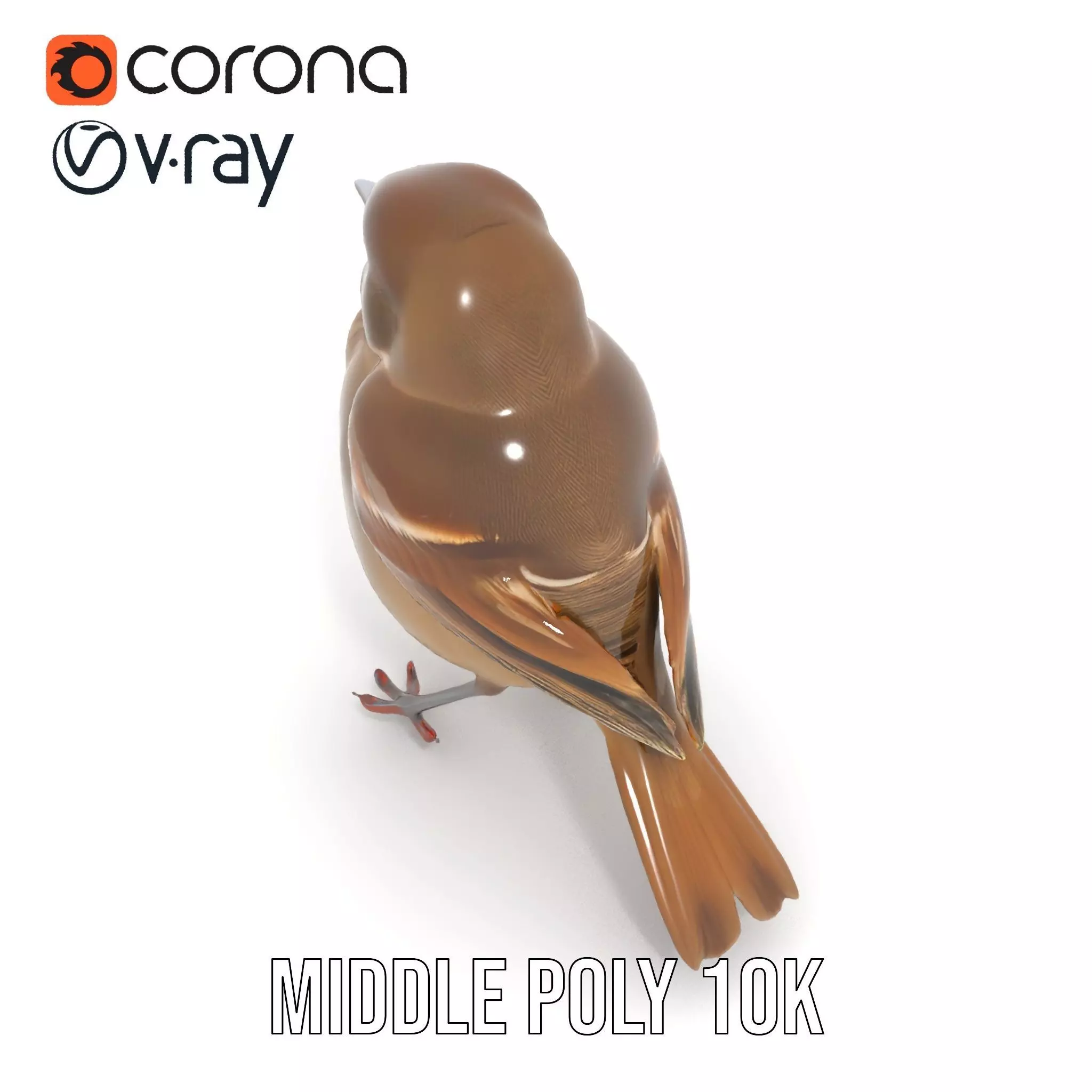 Golden Feathered Bird model pack Low-poly 3D model_19