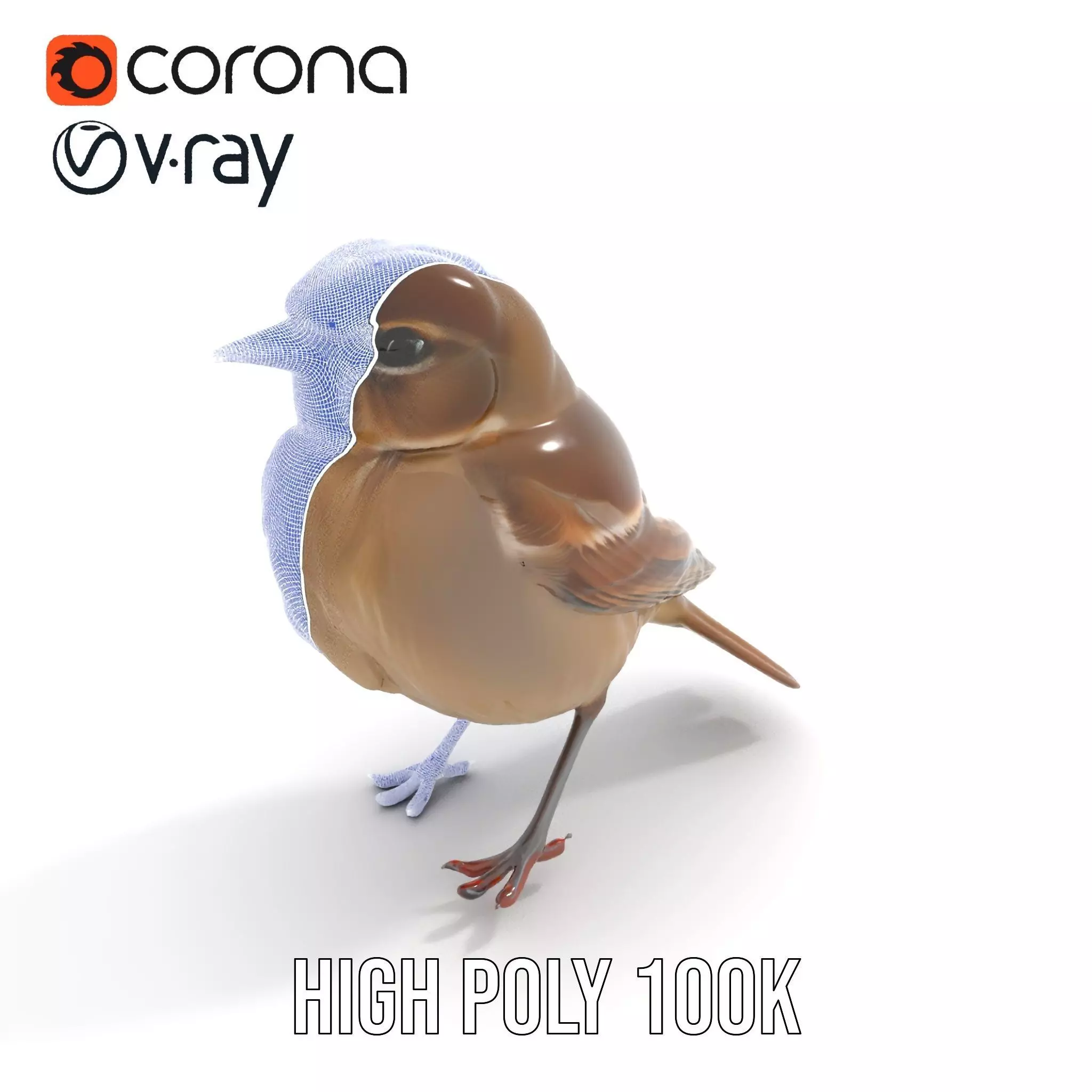 Golden Feathered Bird model pack Low-poly 3D model_27