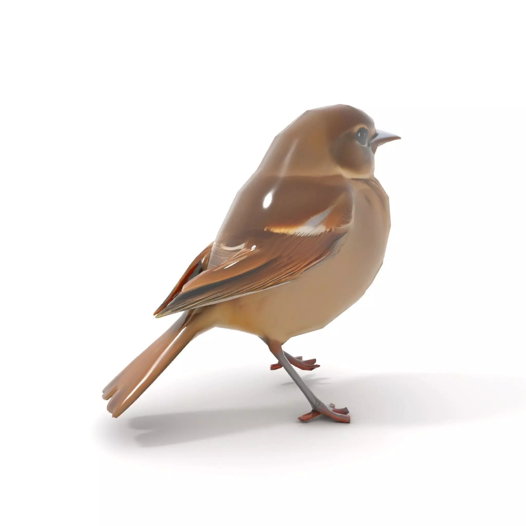 Golden Feathered Bird model pack Low-poly 3D model_13