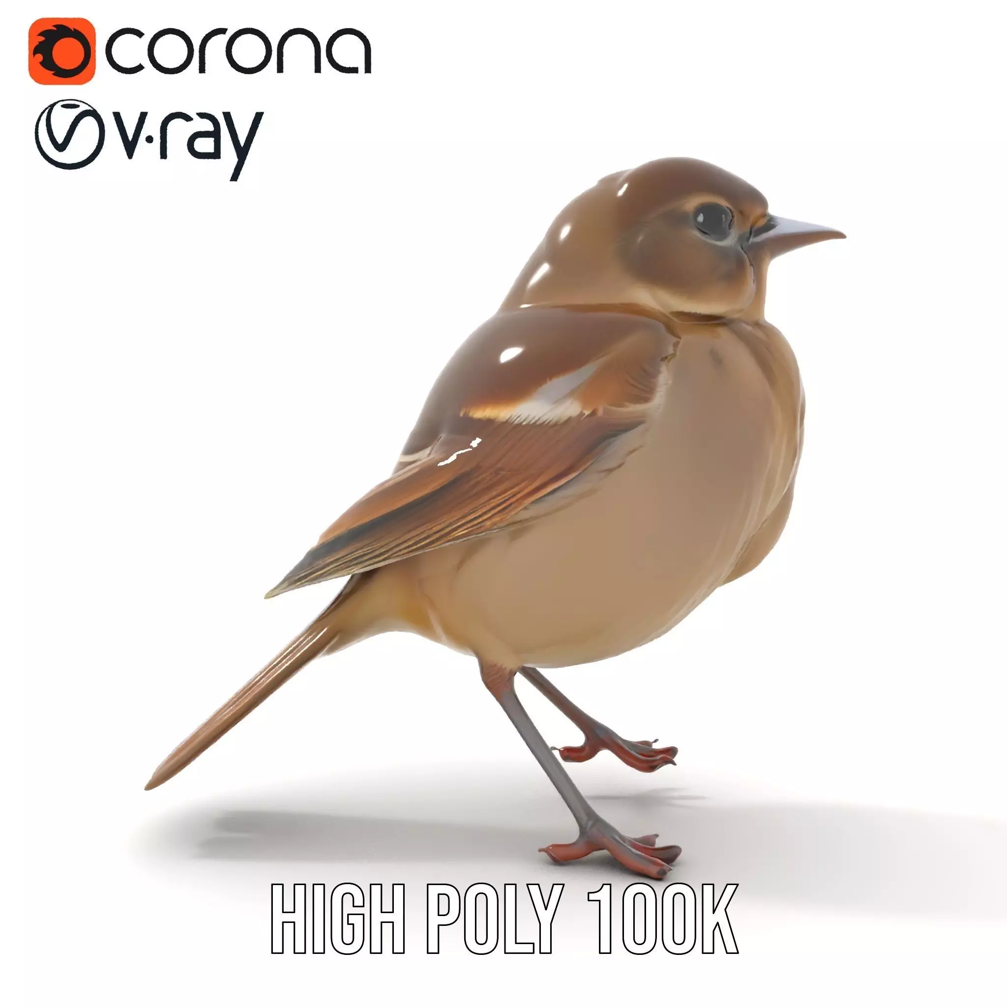 Golden Feathered Bird model pack Low-poly 3D model_18