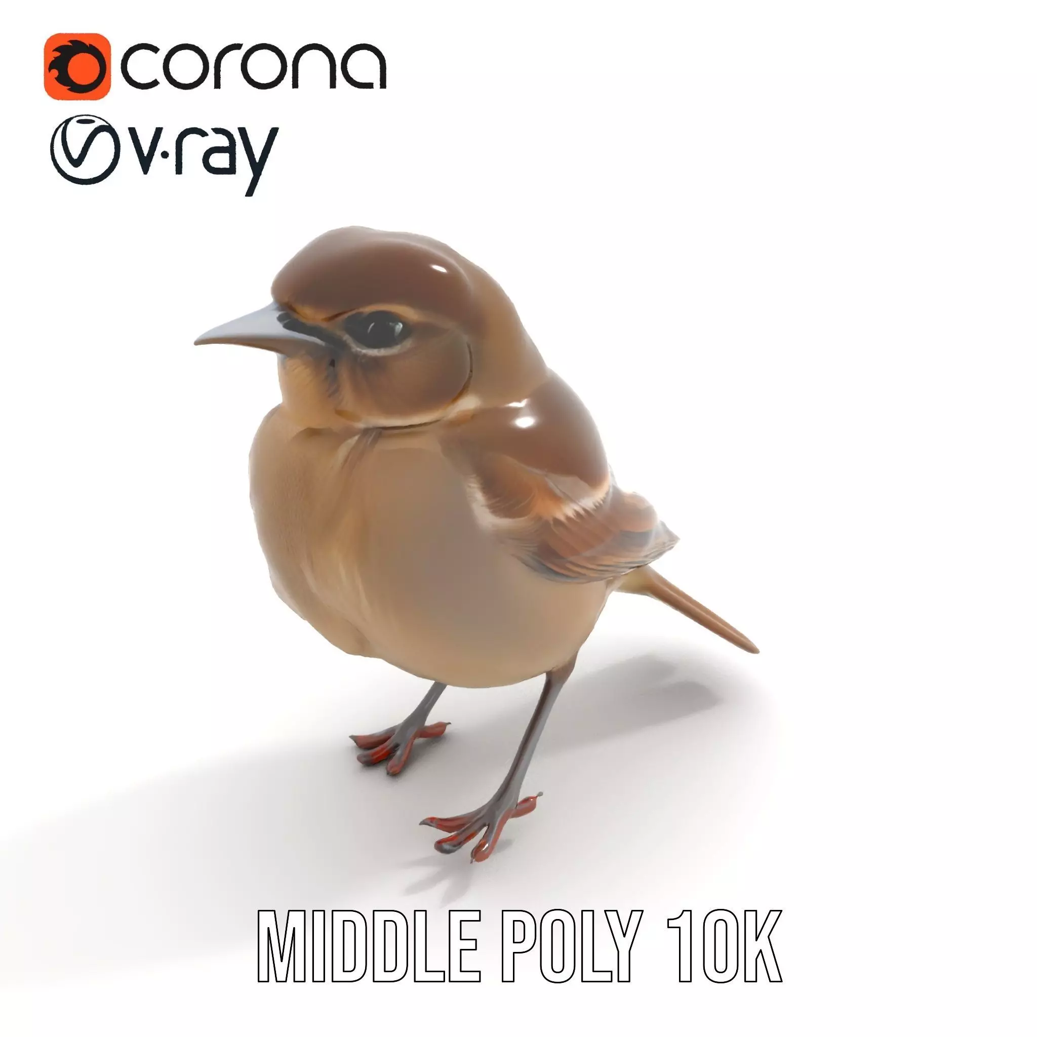 Golden Feathered Bird model pack Low-poly 3D model_6