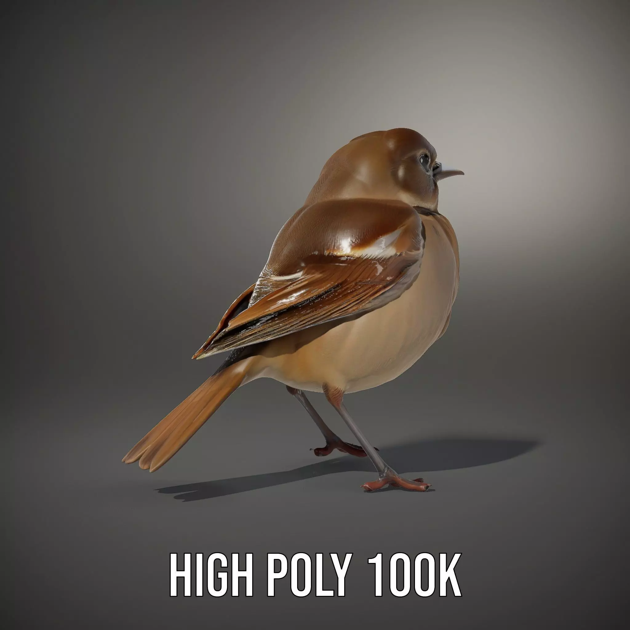 Golden Feathered Bird model pack Low-poly 3D model_11